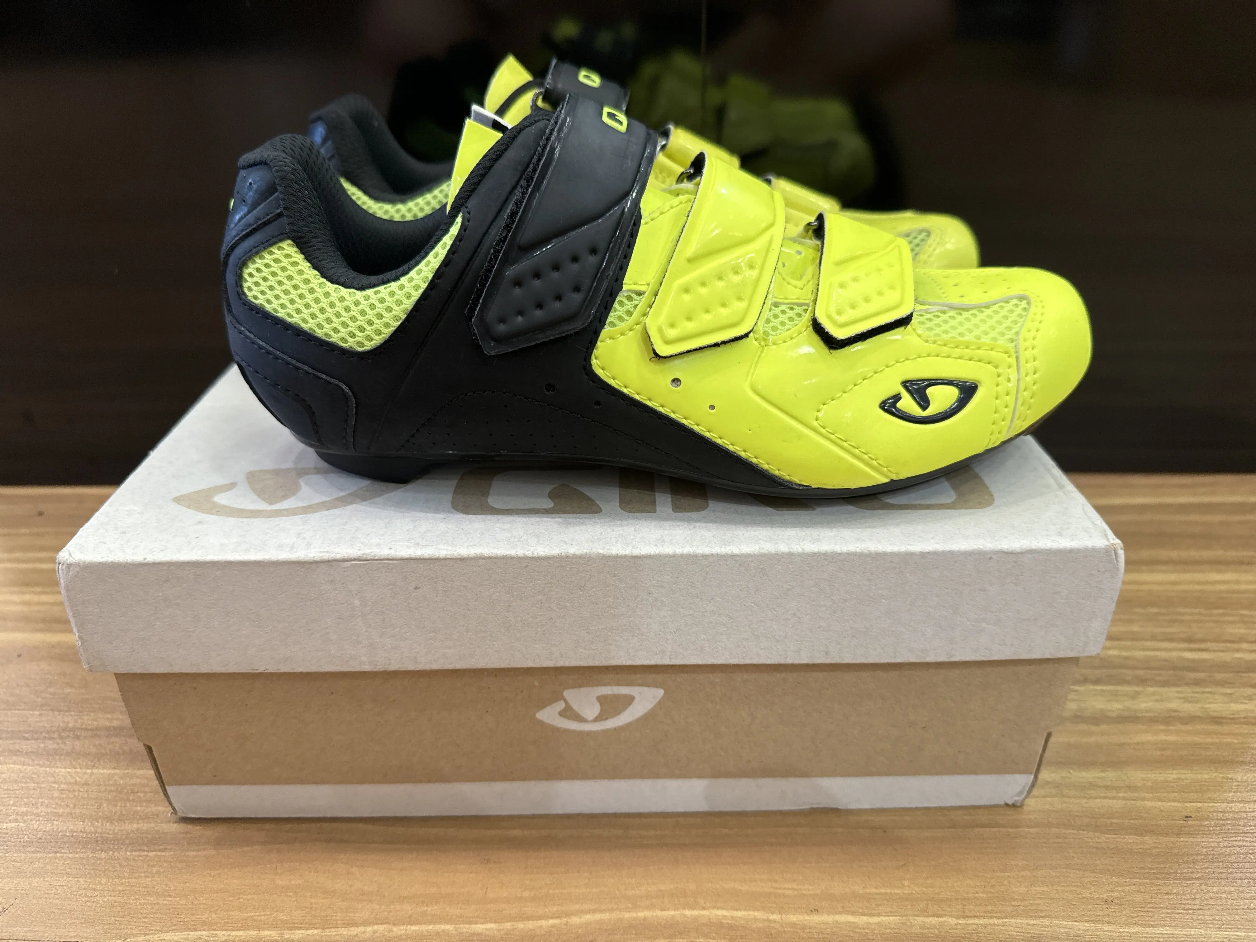 Giro Road Shoe