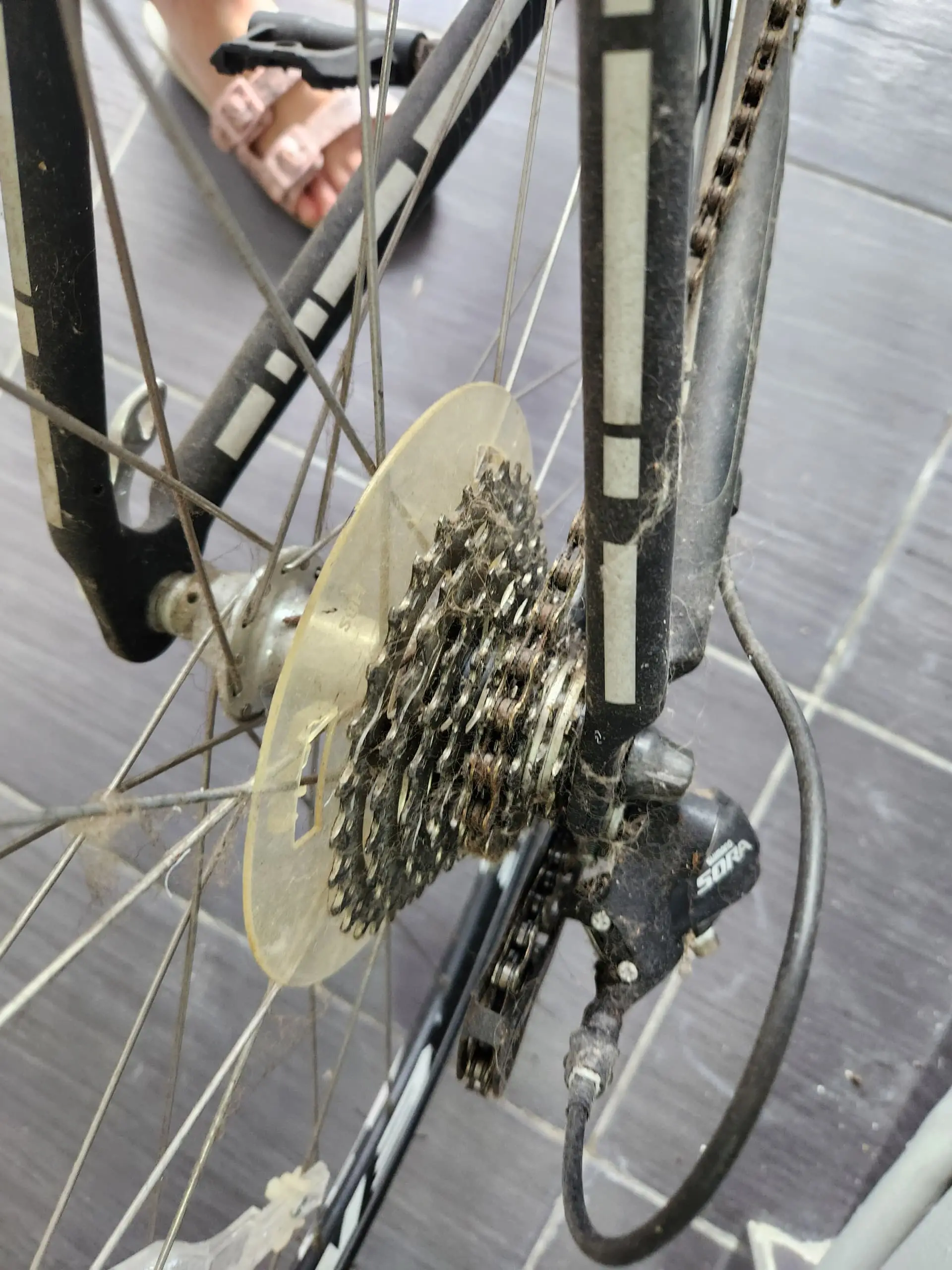 Road Bike EMC R2.8 + Deuter Trainer