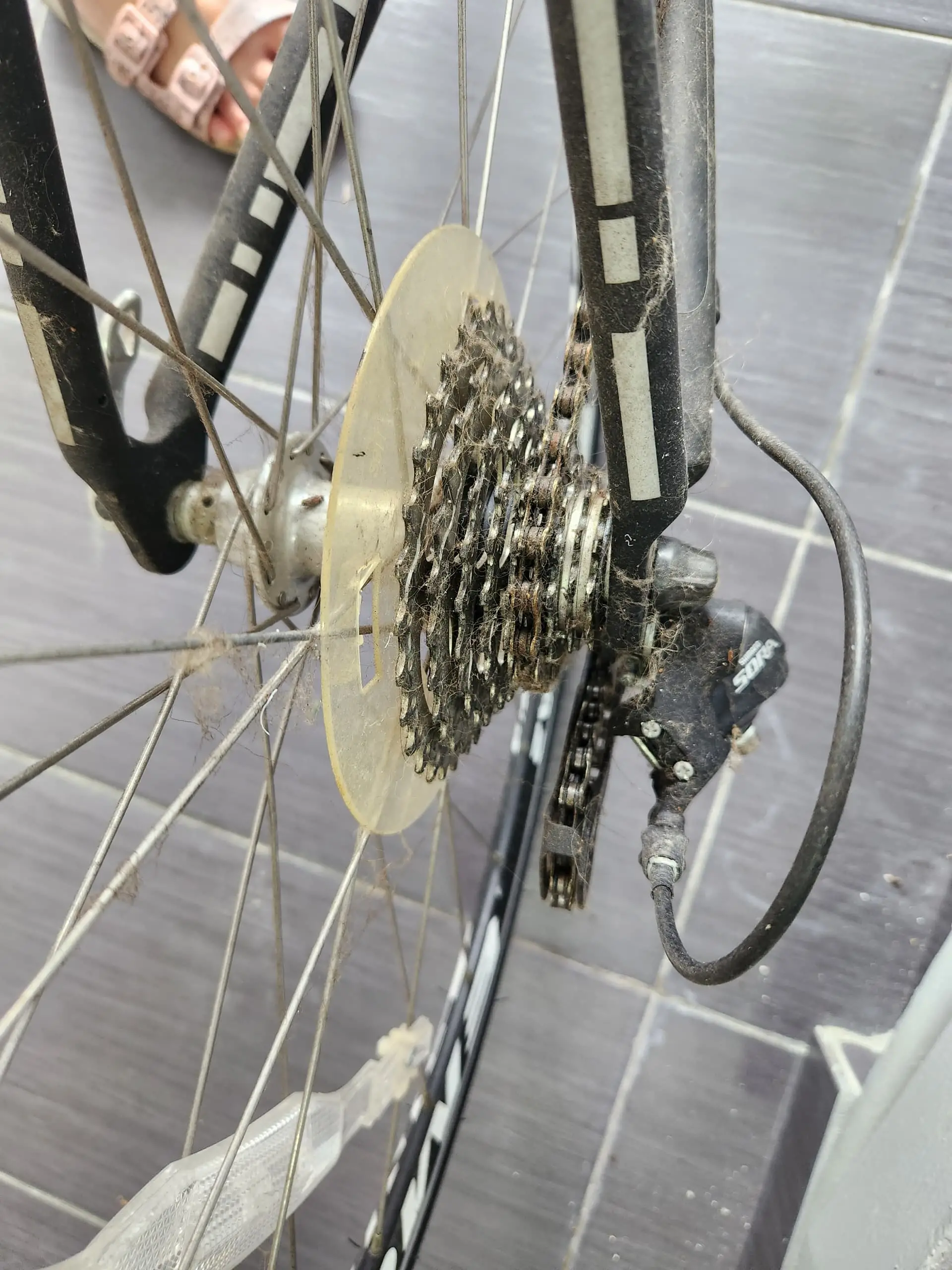 Road Bike EMC R2.8 + Deuter Trainer