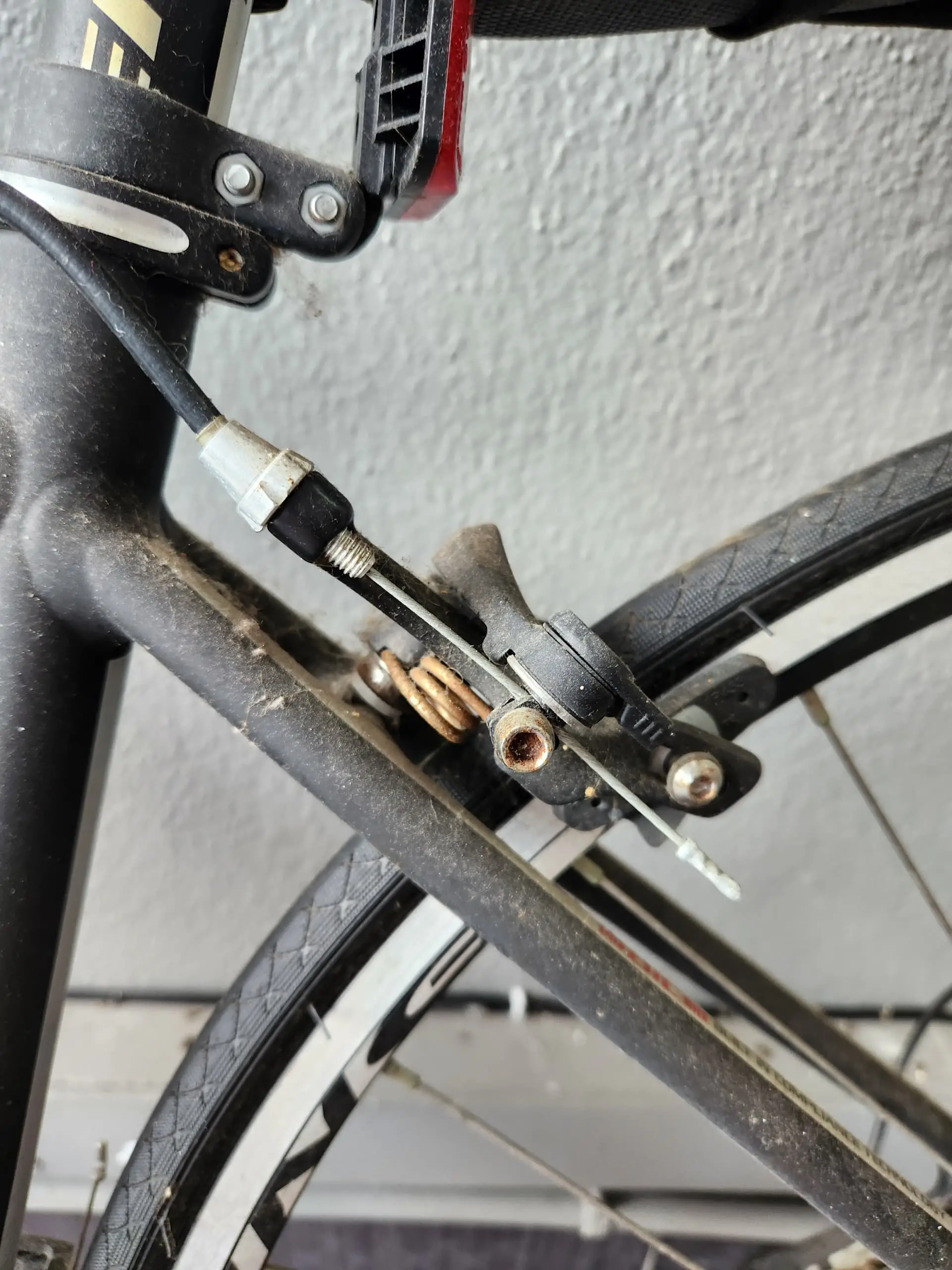 Road Bike EMC R2.8 + Deuter Trainer