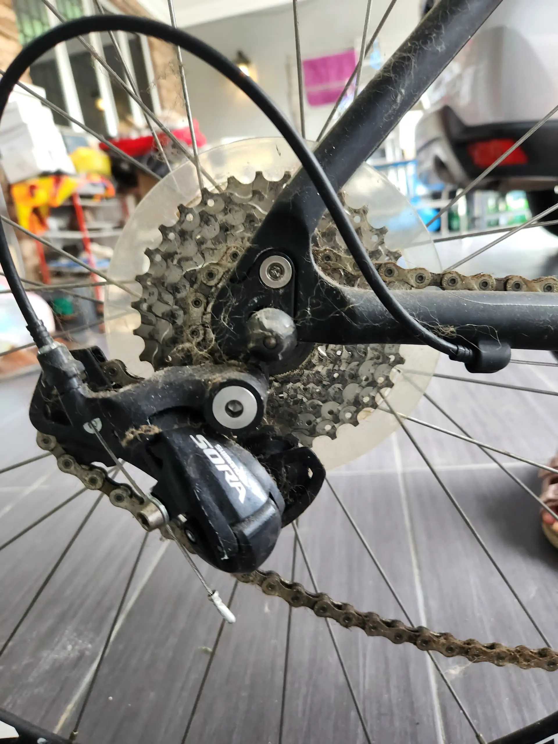 Road Bike EMC R2.8 + Deuter Trainer