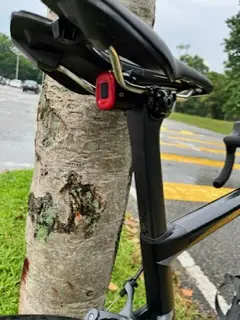 OEM Tarmac SL6 Size 52