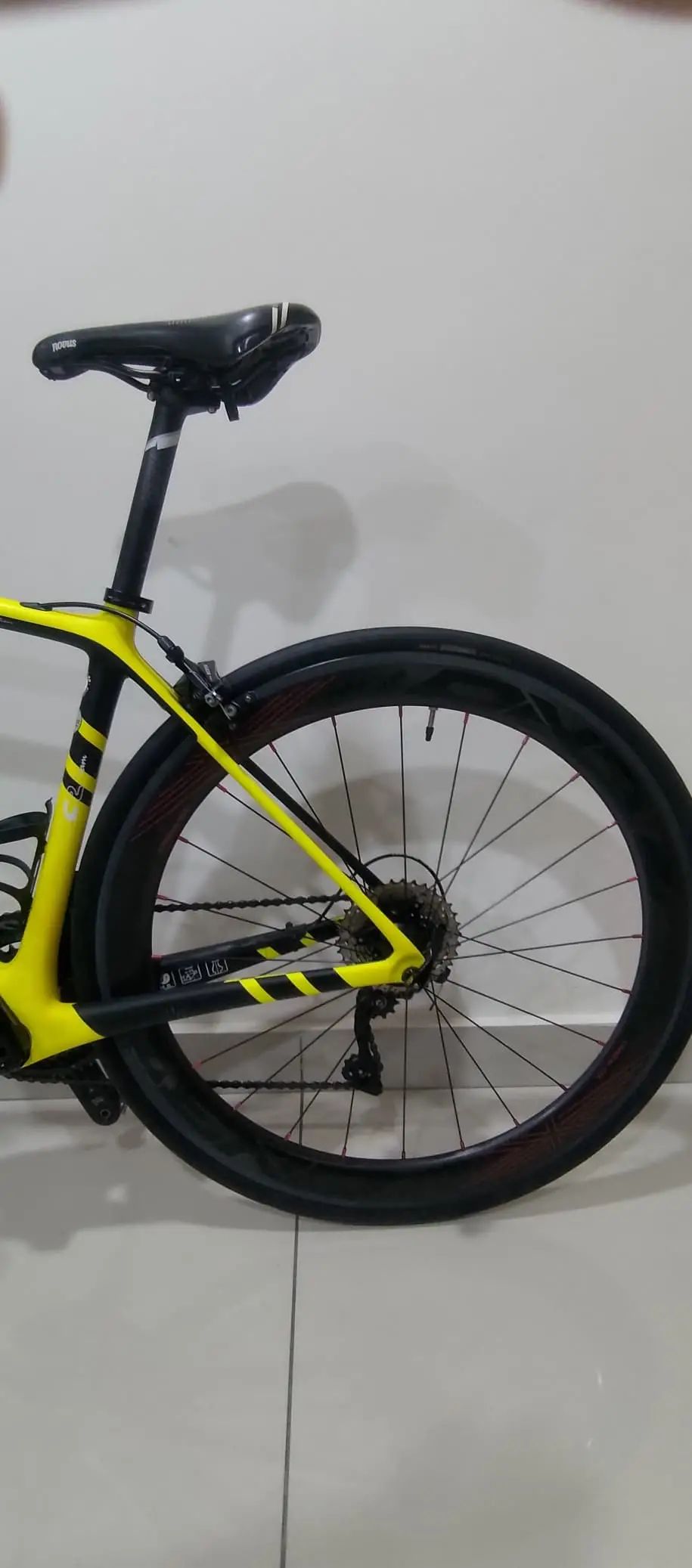GUSTO RCR Team Limited Edition