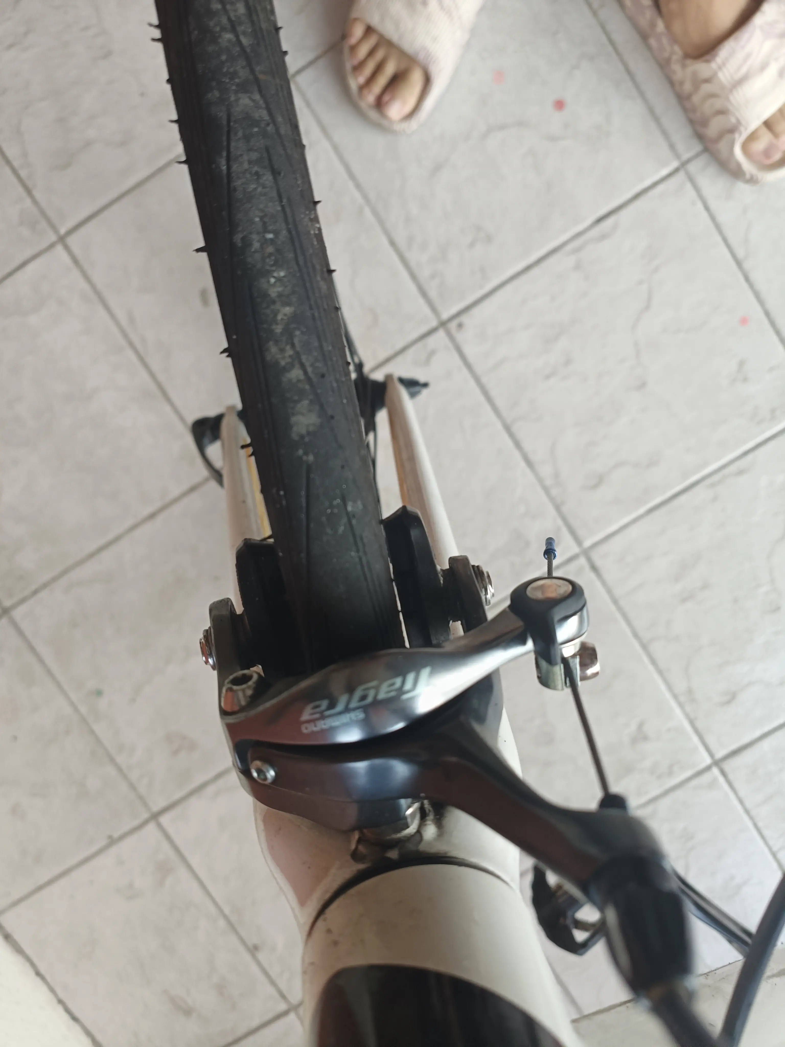 Polygon stratto 3