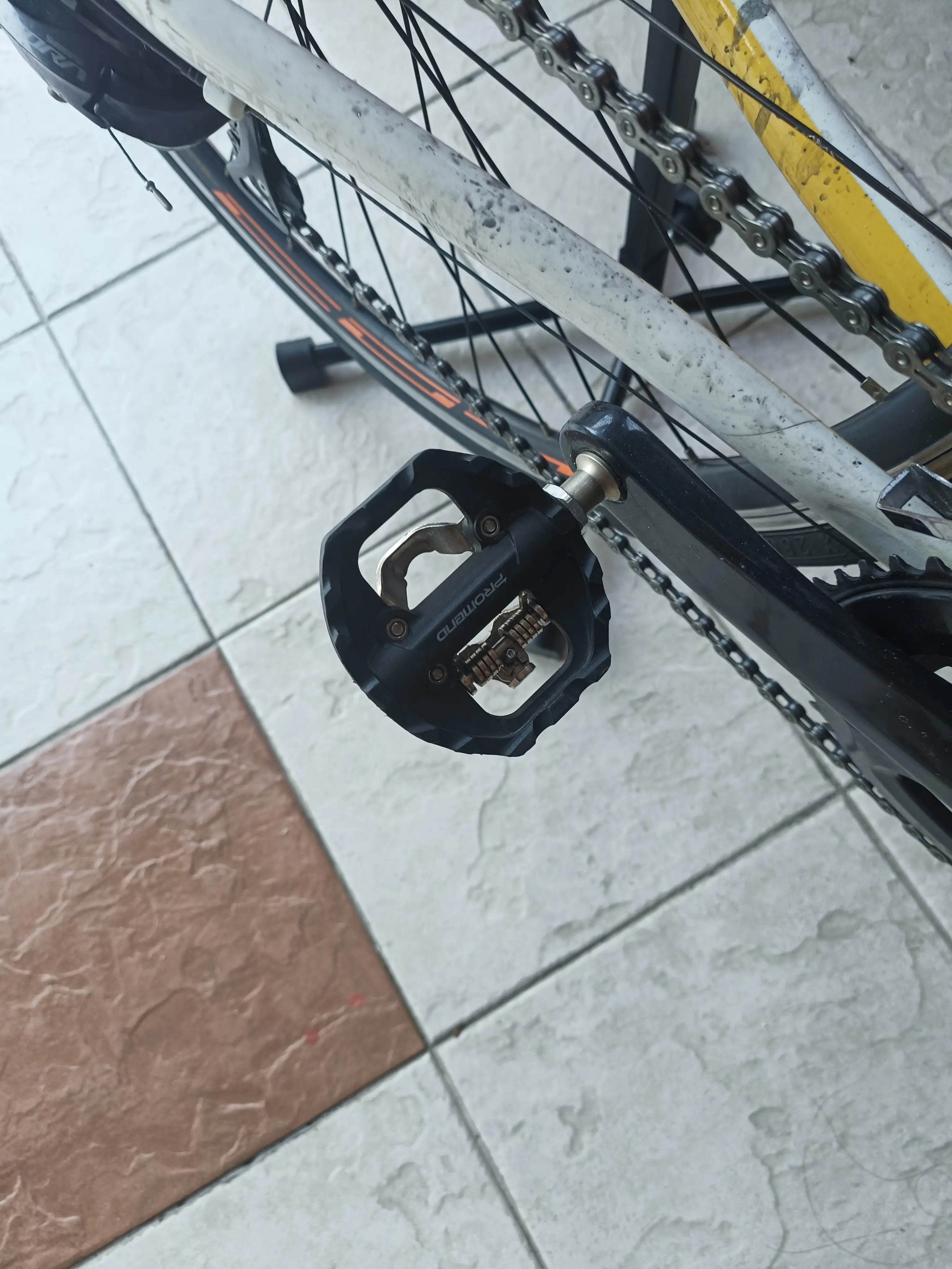 Polygon stratto 3