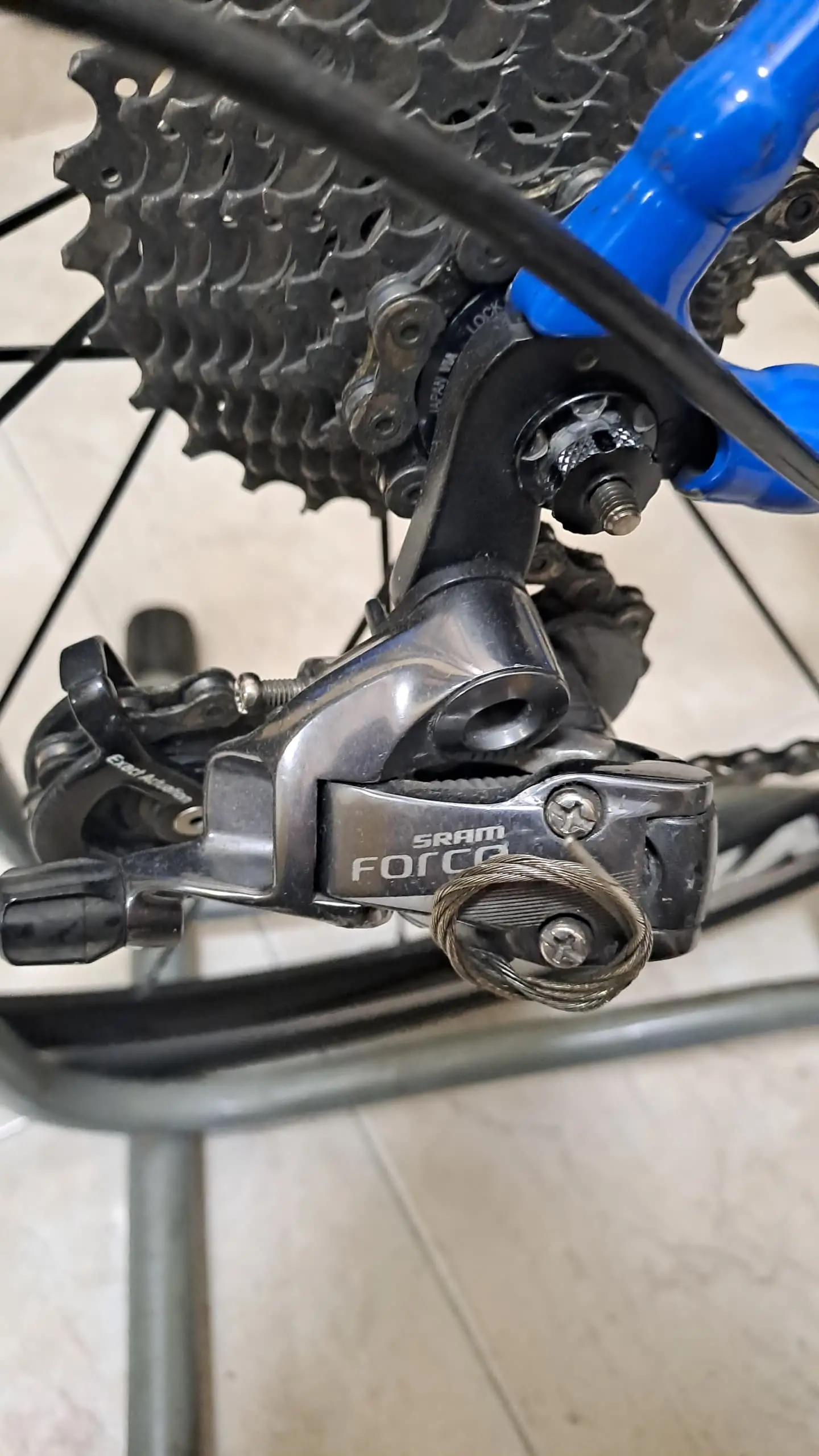 SPECIALIZED ALLEZ SPRINT ITALIA LIMITED EDITION