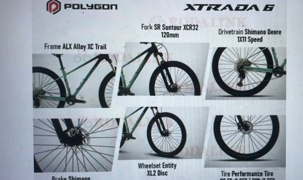Polygon Xtrada 6 Mountain Bike XL Frame_ 2022 Barely Used