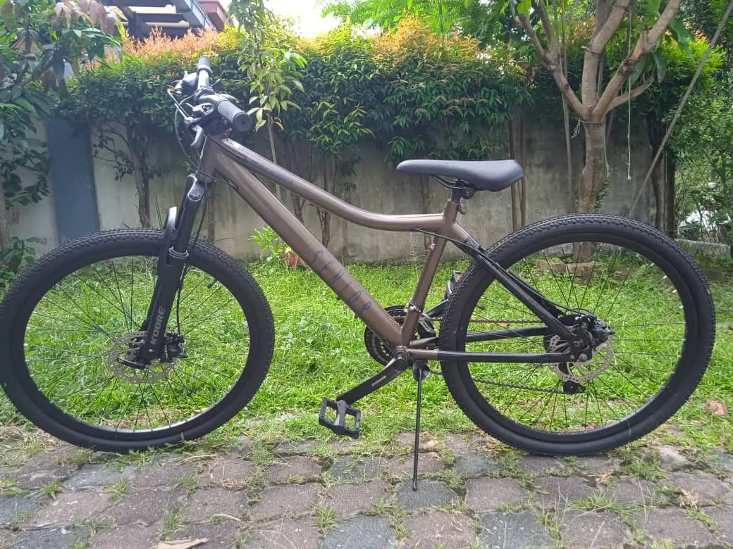 Raleigh Mountain Bicycle