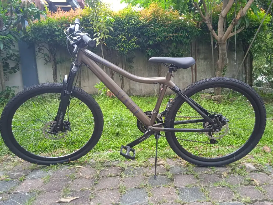 Raleigh Mountain Bicycle