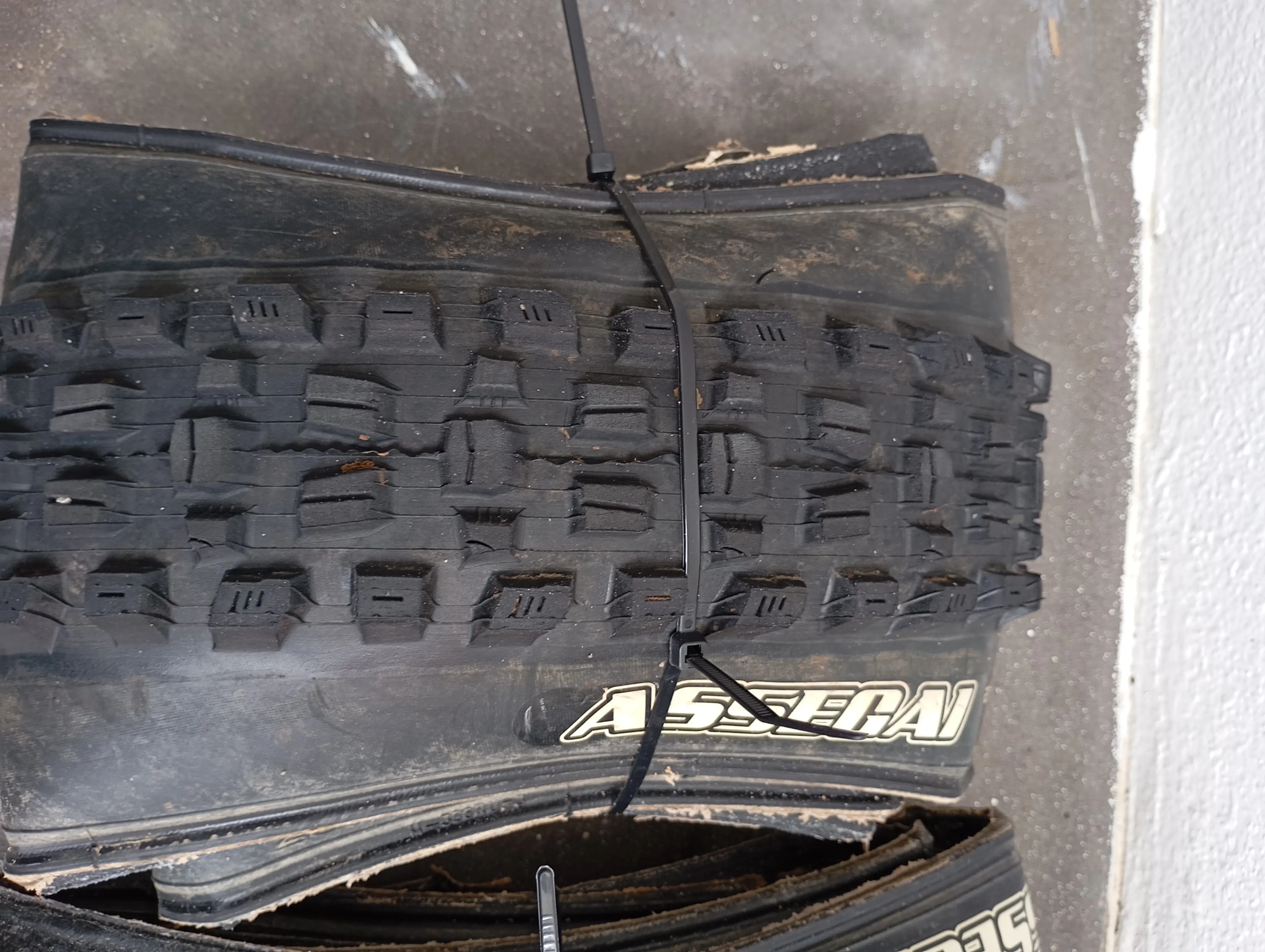 Maxxis Assegai