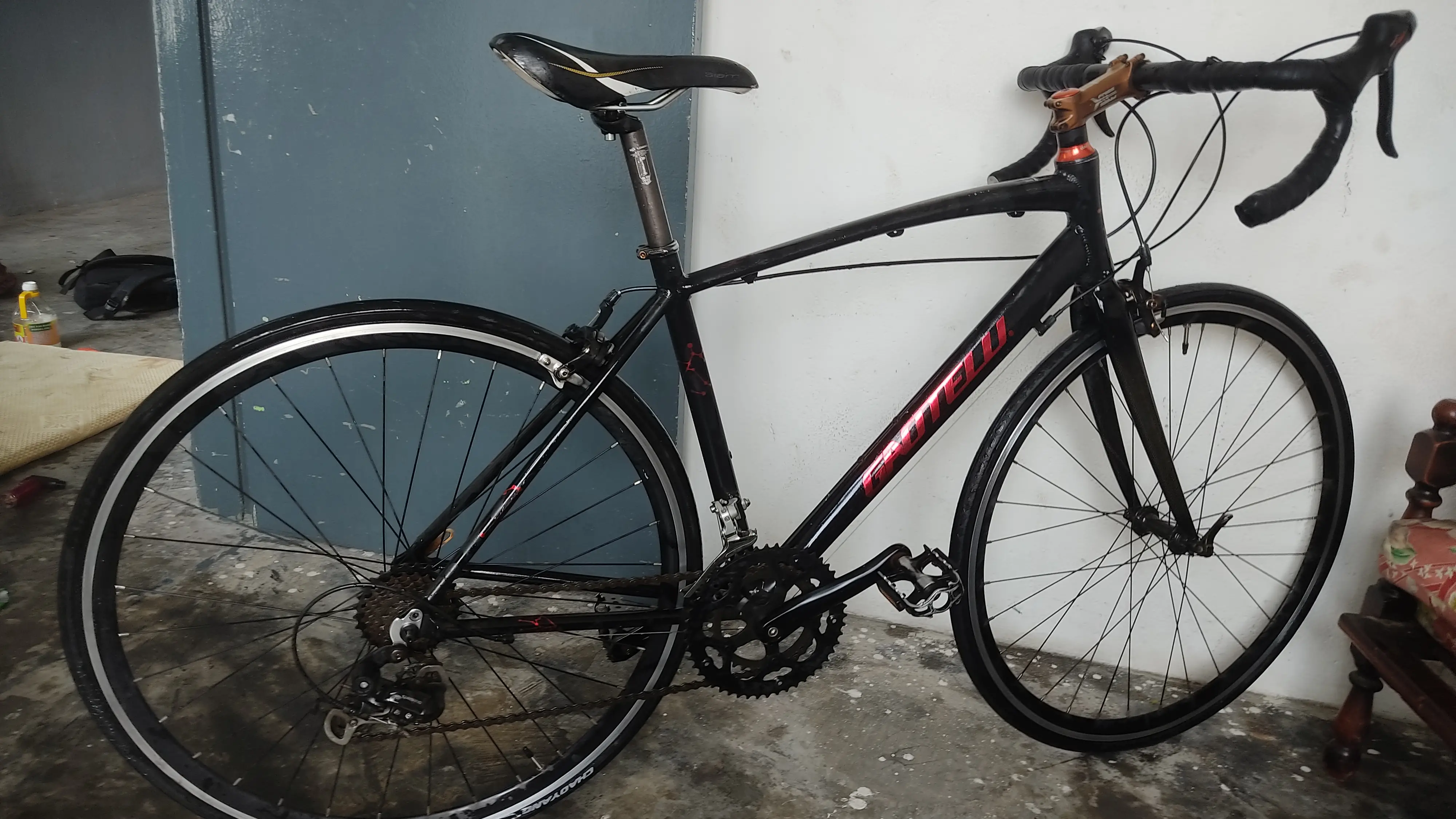 GAOTELU Road Bike Full Carbon Fiber Frame Bicycle