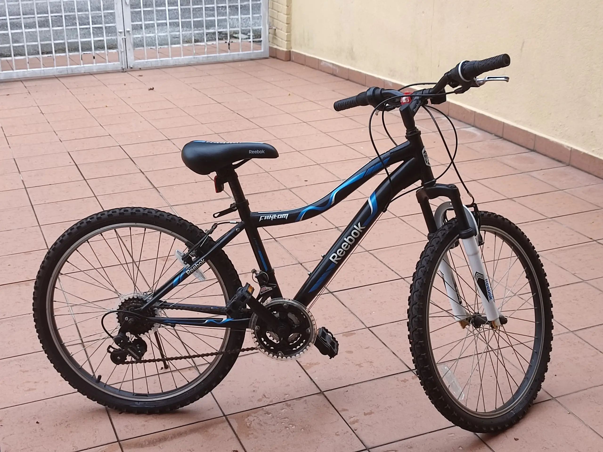 USED  Reebook Bicycle