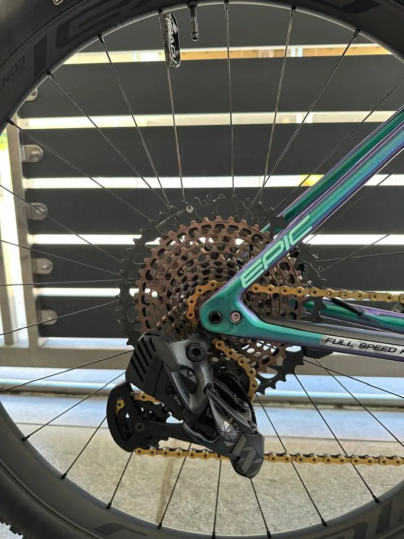 Specialized S-Works Epic Hardtail 29er- Carbon