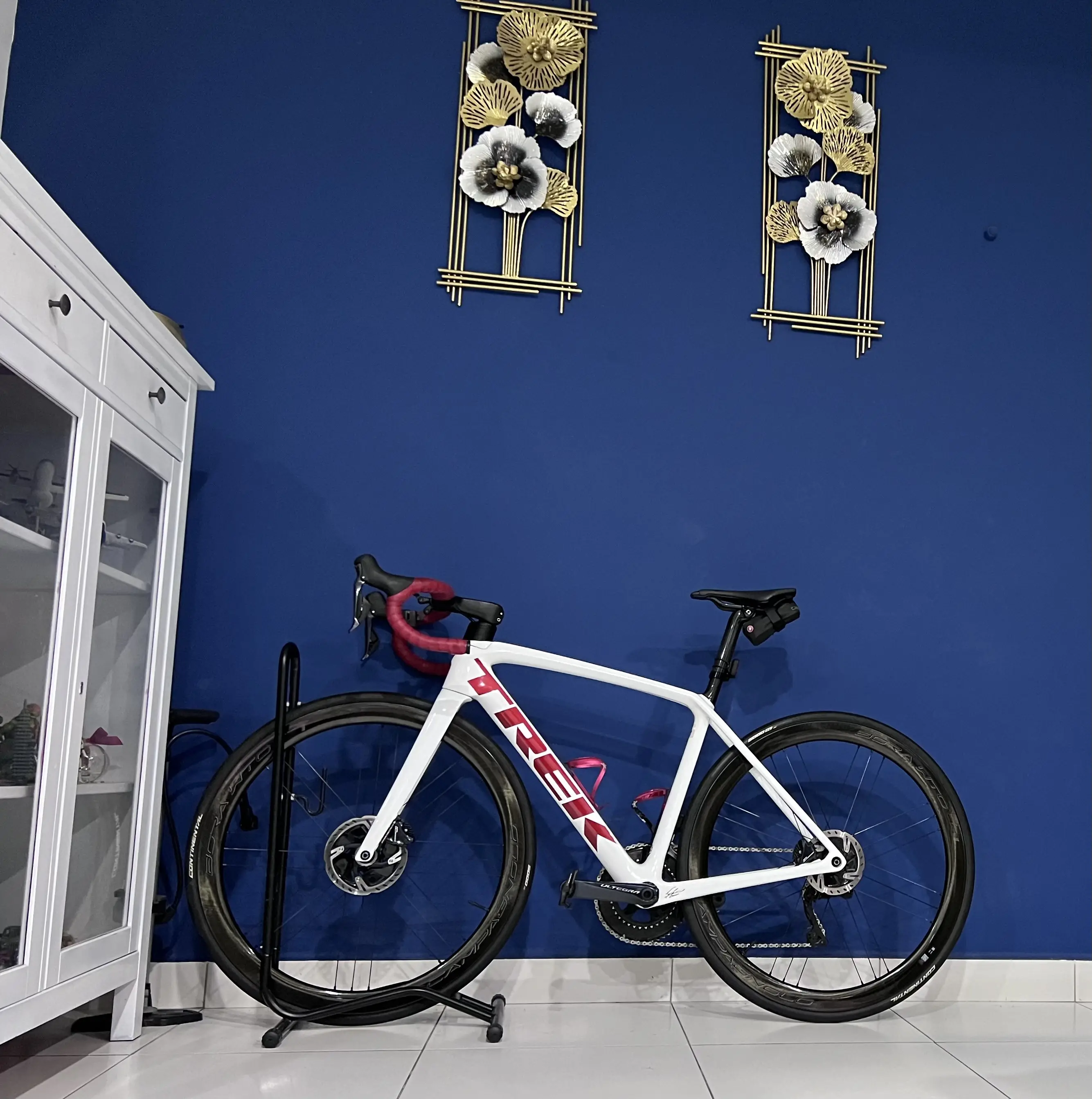 Trek Emonda SLR 2021 full bike