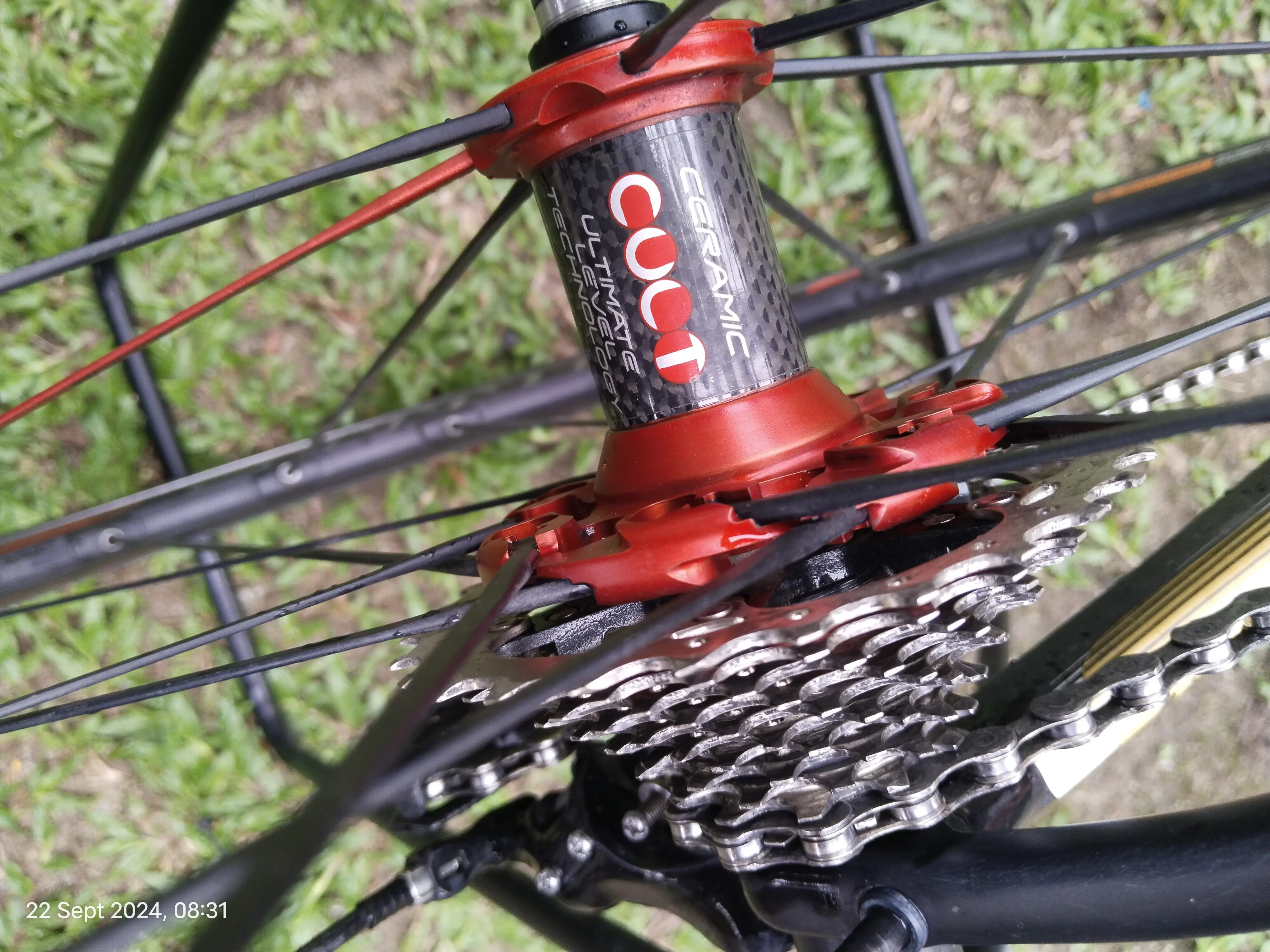 Road bike colnago
