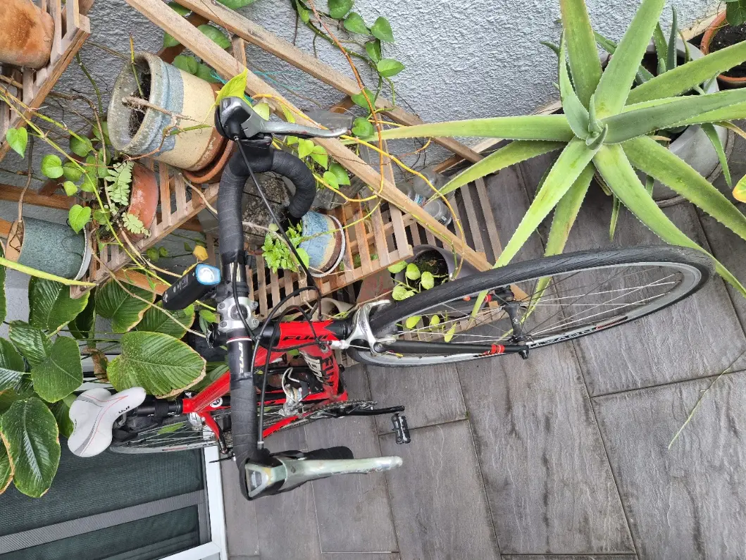 Fuji Road Bike XS (42CM)