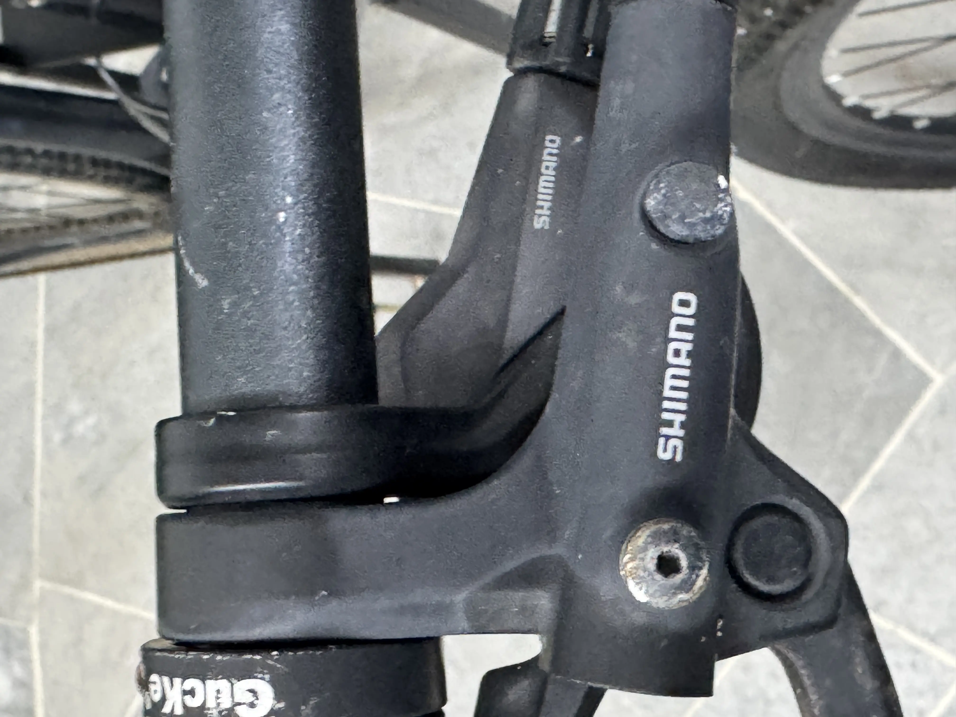TRZ RATEL 12 MTB 29”