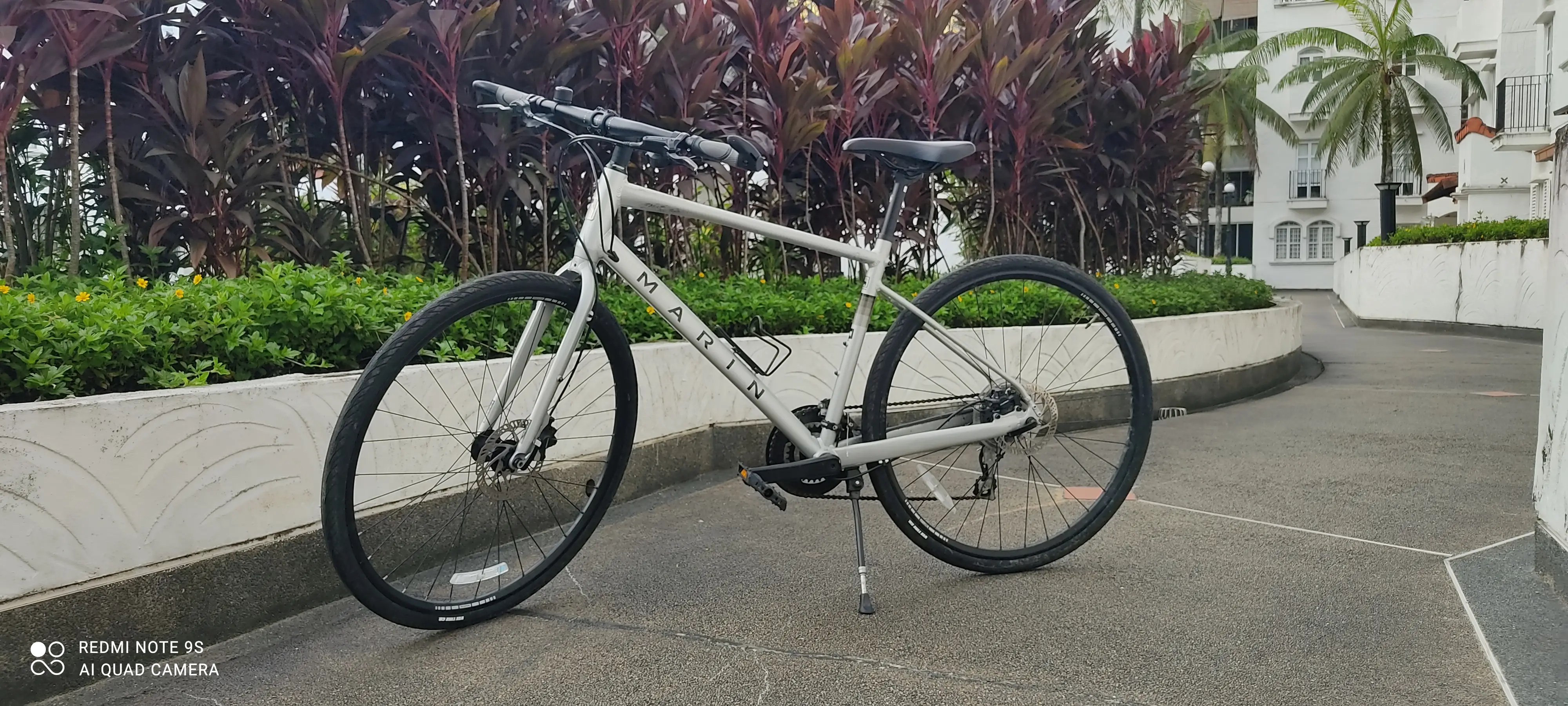 Marin Fairfax 2 (2 available)