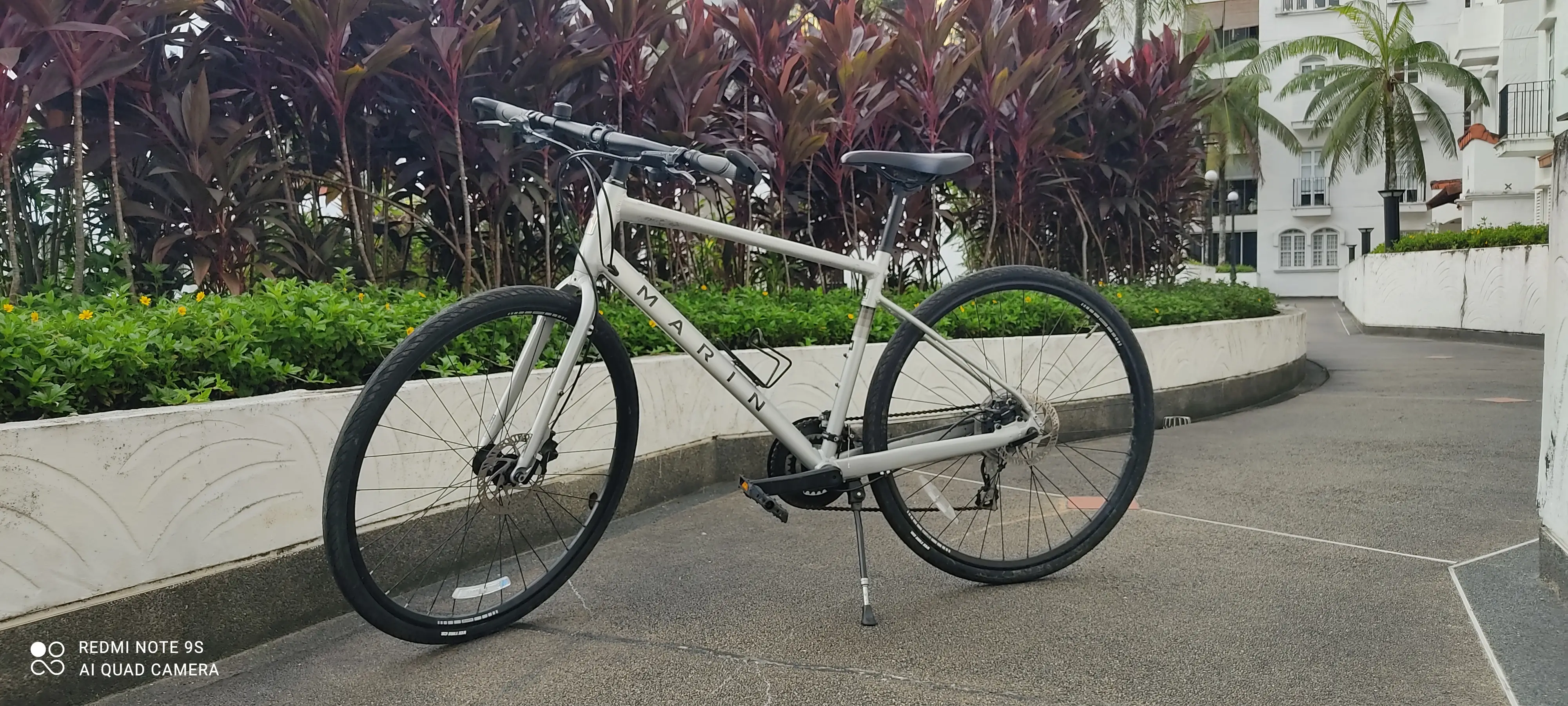 Marin Fairfax 2 (2 available)
