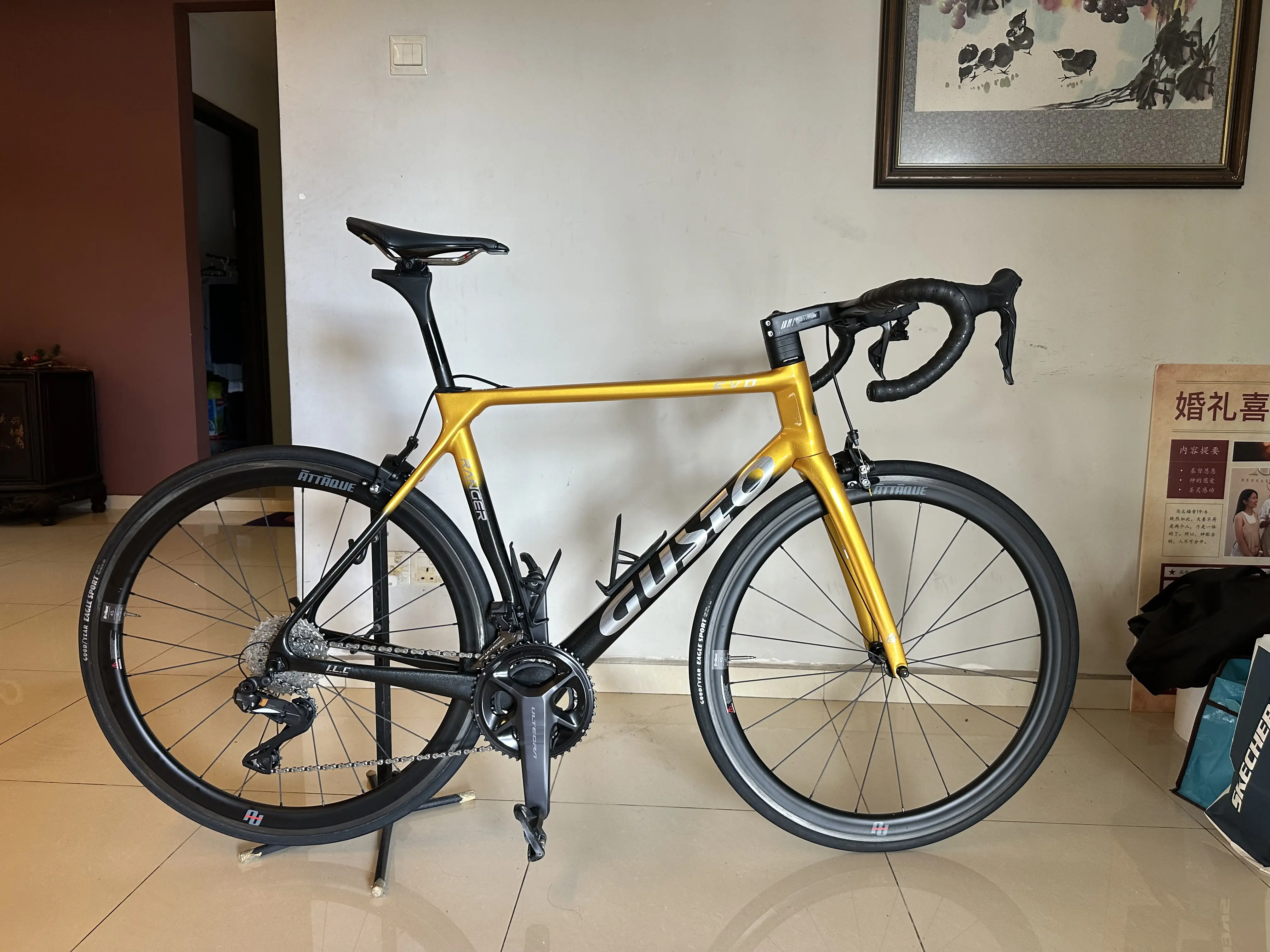 Roadbike GUSTO RANGER EVO (L size) Full carbon