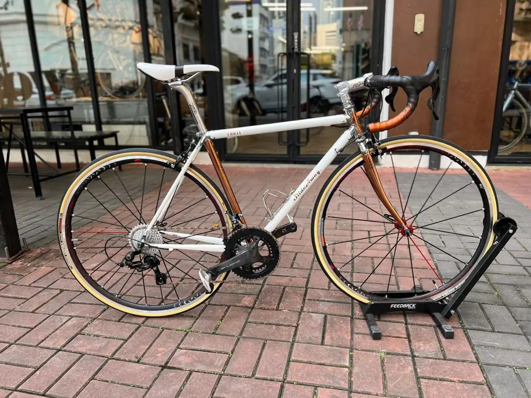 SlideAway Steel Road Frame – Timeless Strength, Smooth Ride