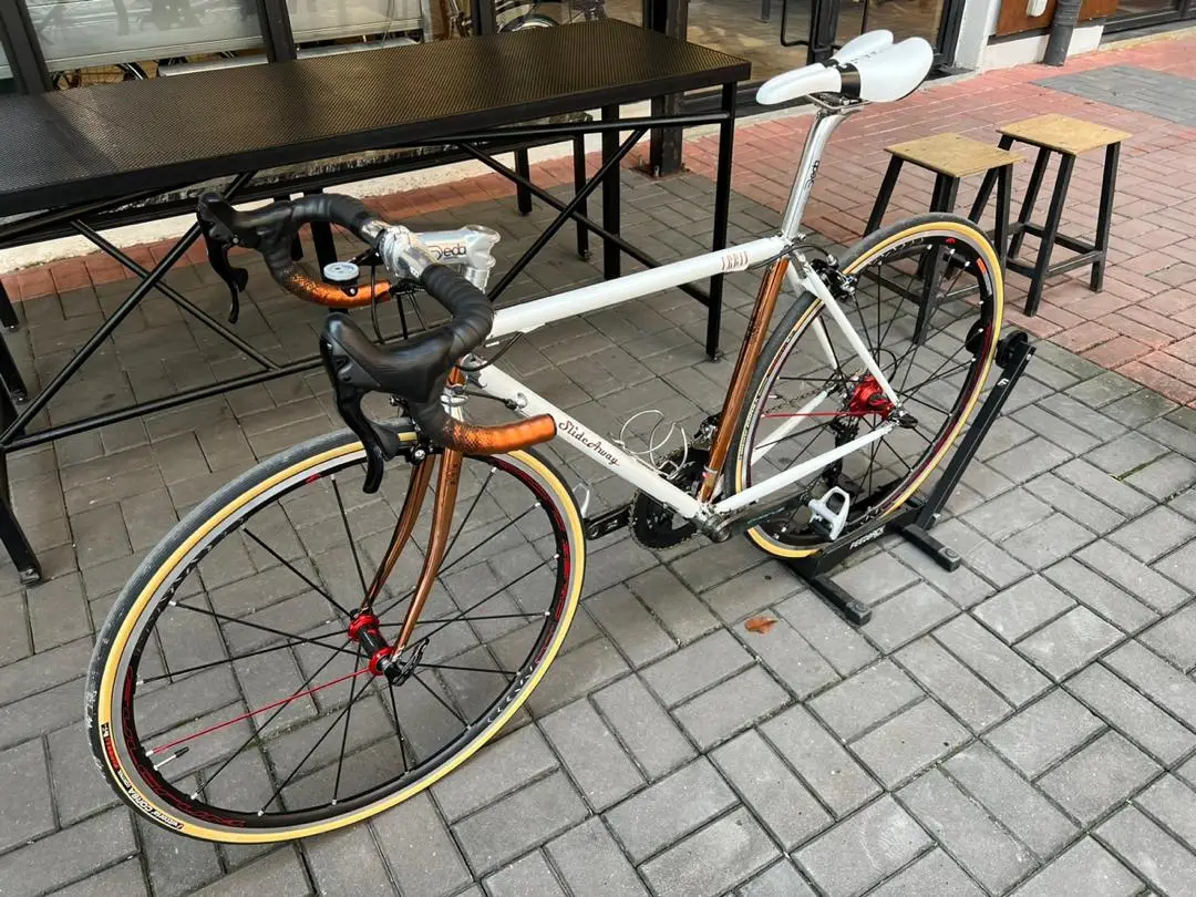 SlideAway Steel Road Frame – Timeless Strength, Smooth Ride