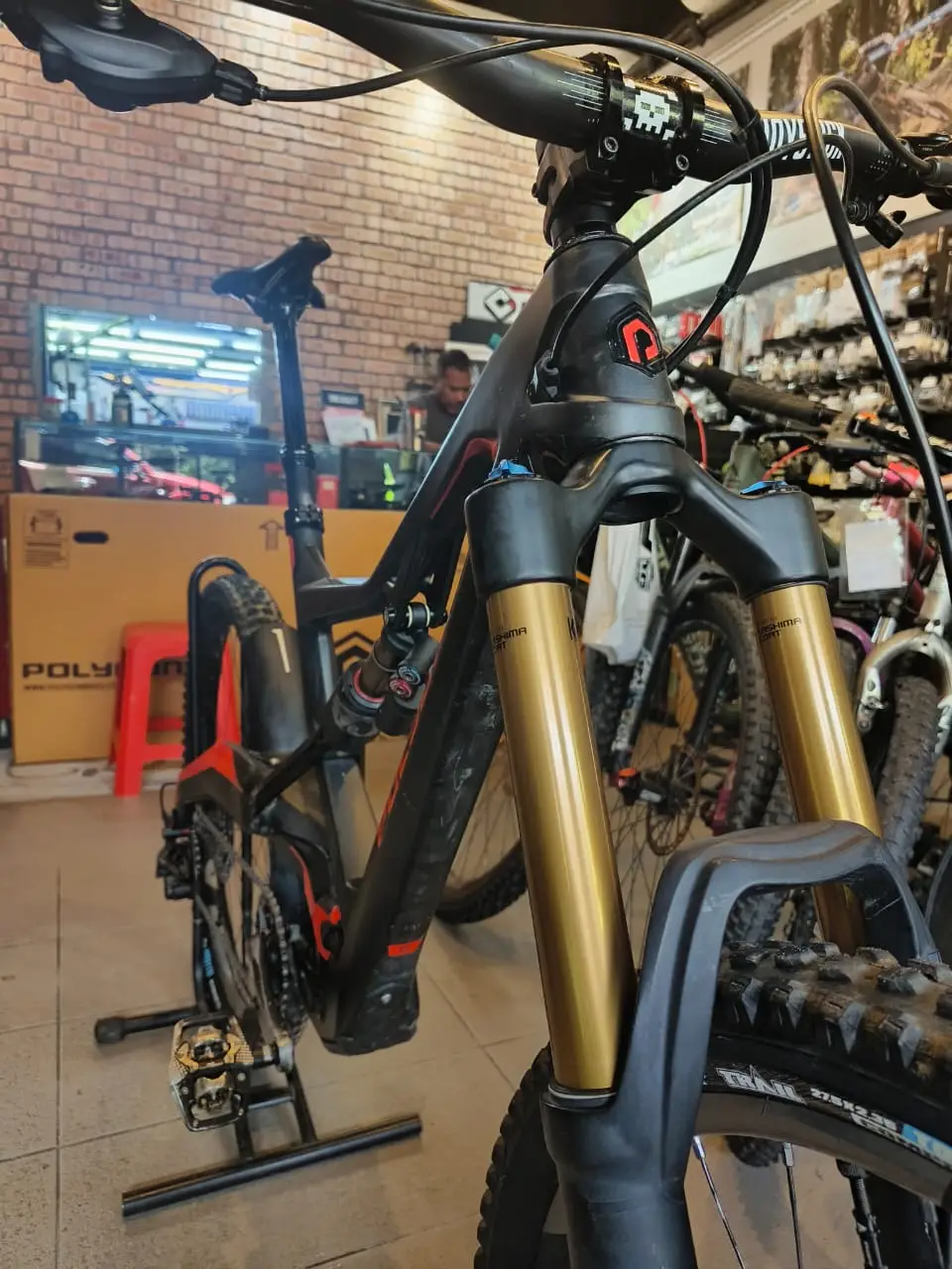 Polygon XQ1 27.5' Large