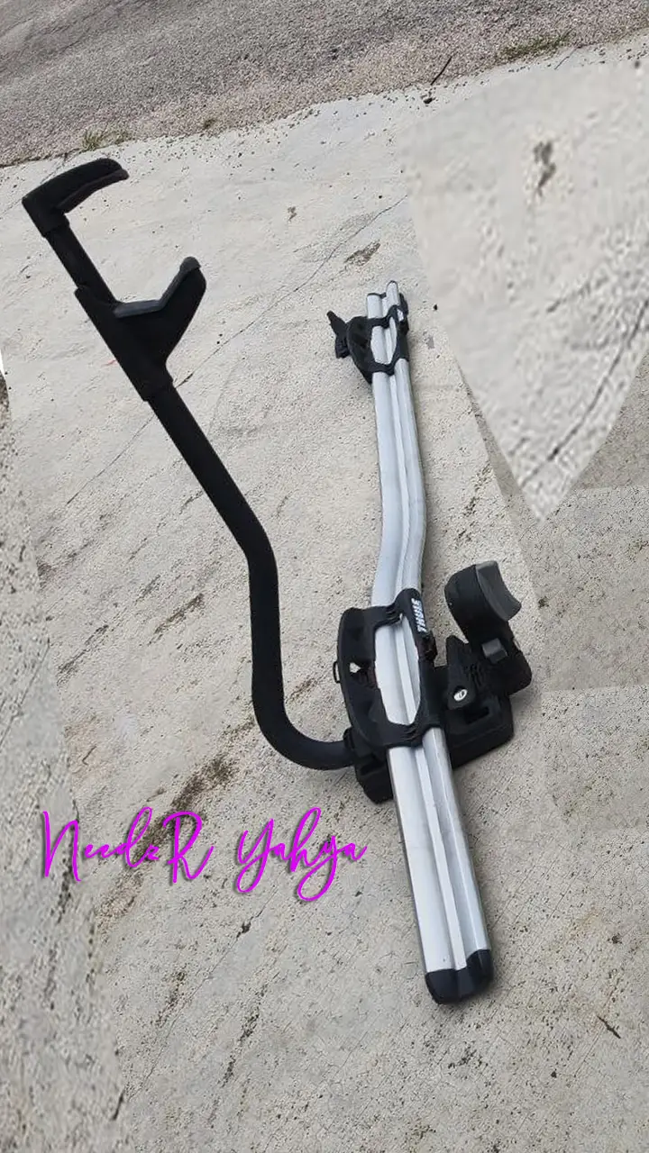 THULE Pro Ride 591