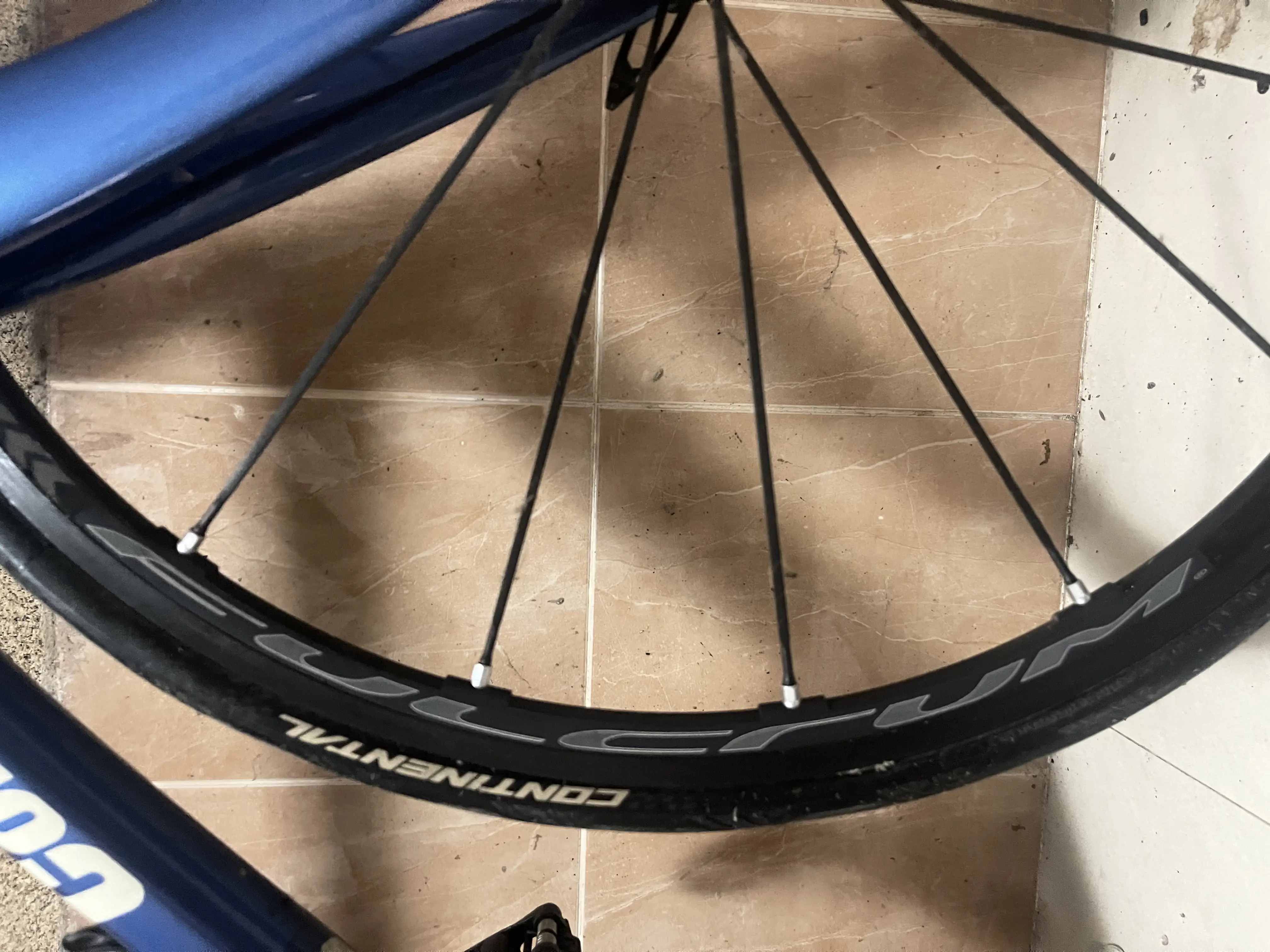 Condor Leggero For Sale
