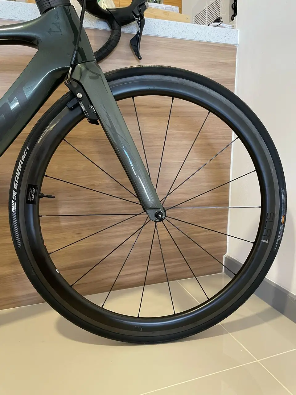 Giant 2021 Propel Advanced Pro 1