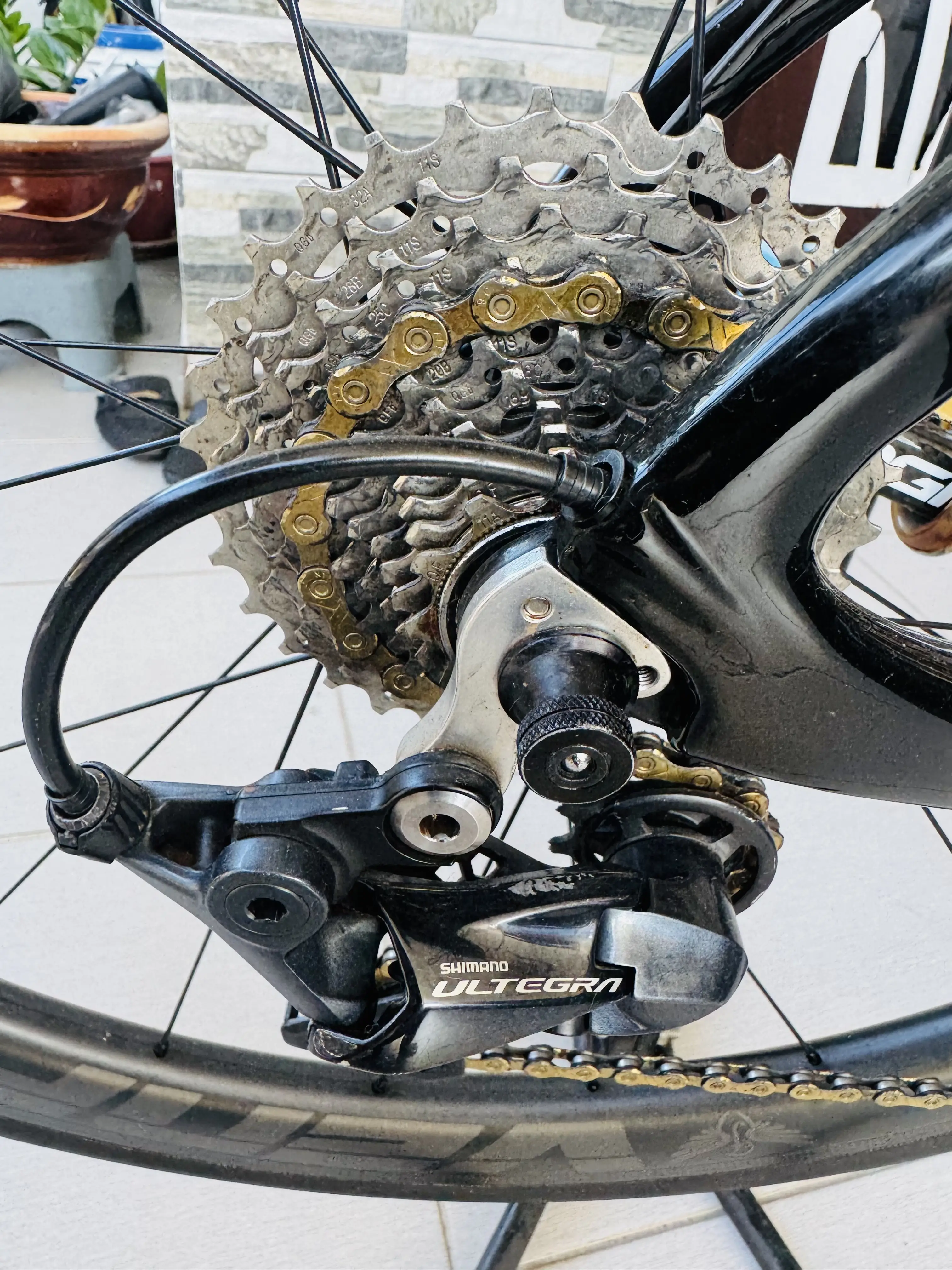 Roadbike Pinarello Dogma F8