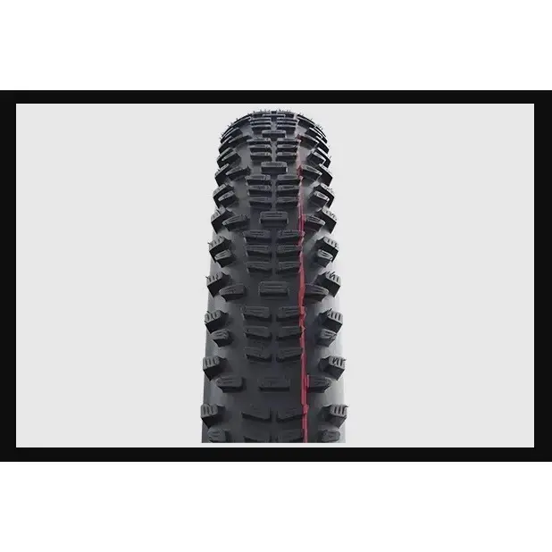 SCHWALBE RACING RALPH TIRE 29X2.25 EVO S.GROUP TLB ADDIX SPEED 11601099.01