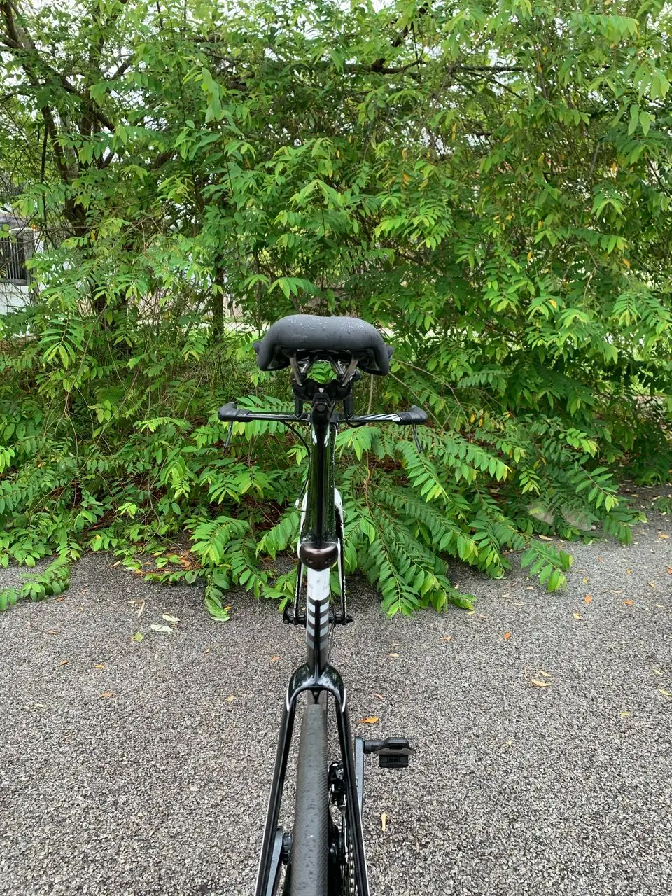 COLNAGO K ZERO TT TRIATHLON BIKE FOR SALE OR SWAP