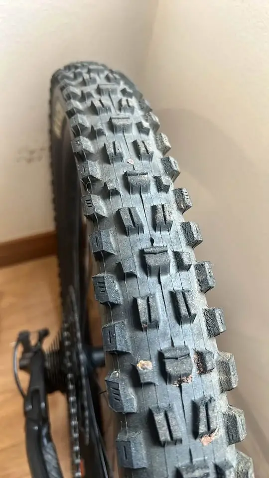 Marin Alpine Trail XR (L)