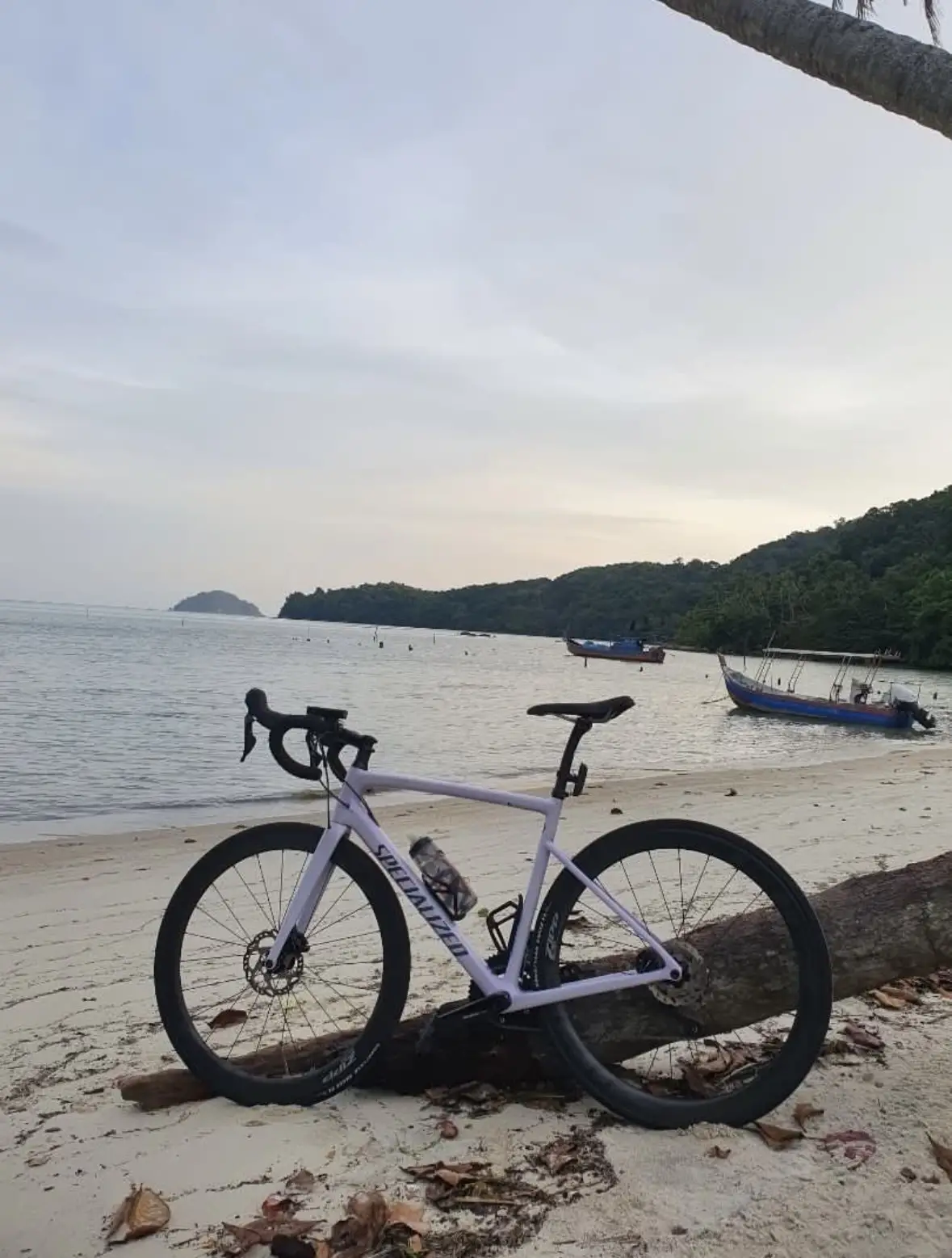 Specialized Tarmac SL6