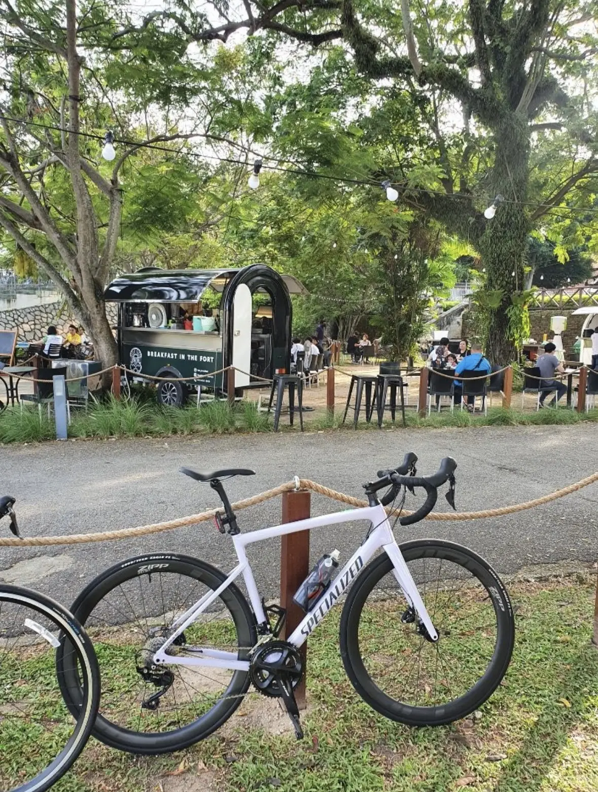 Specialized Tarmac SL6