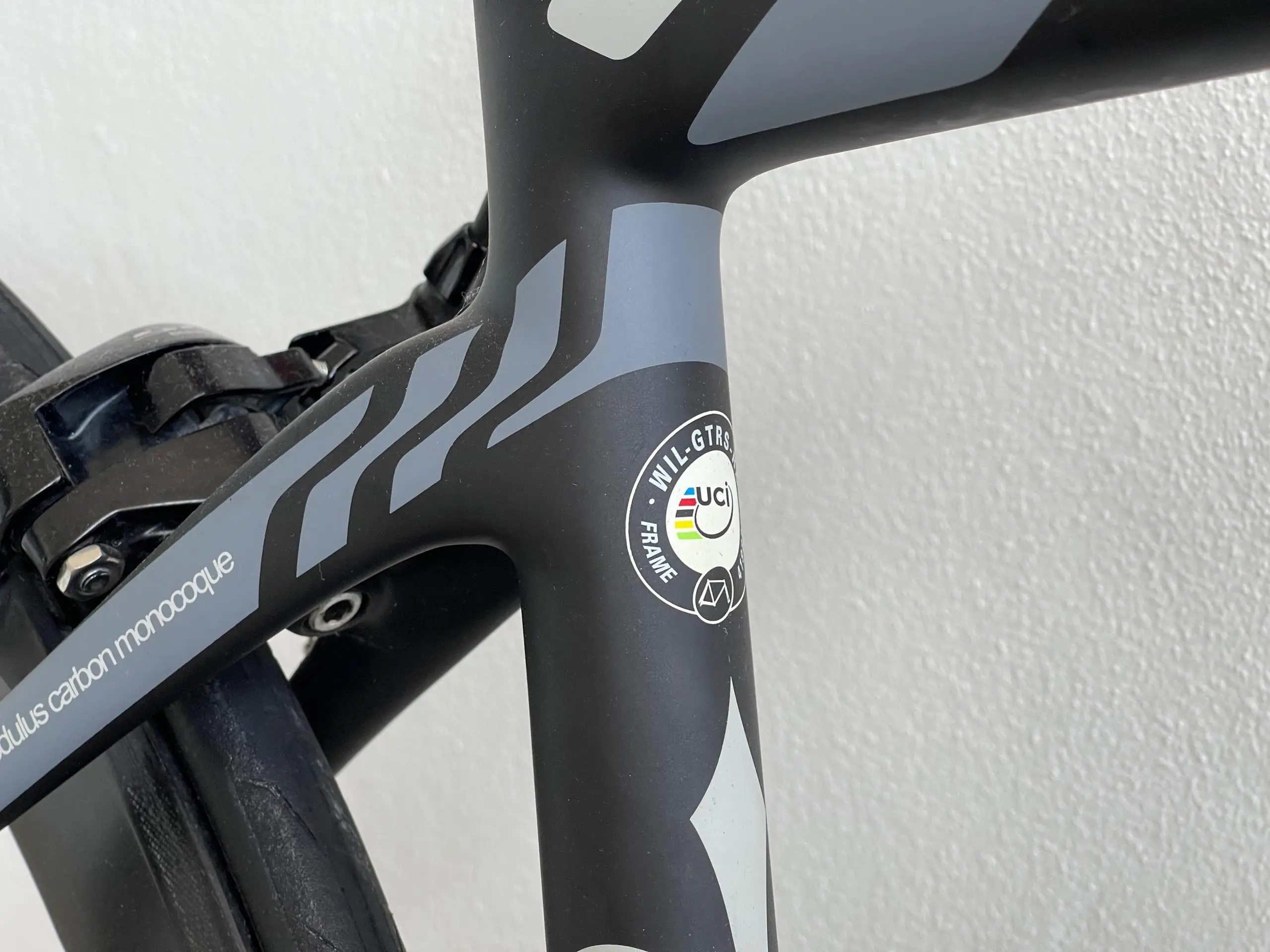 wilier triestina gtr team