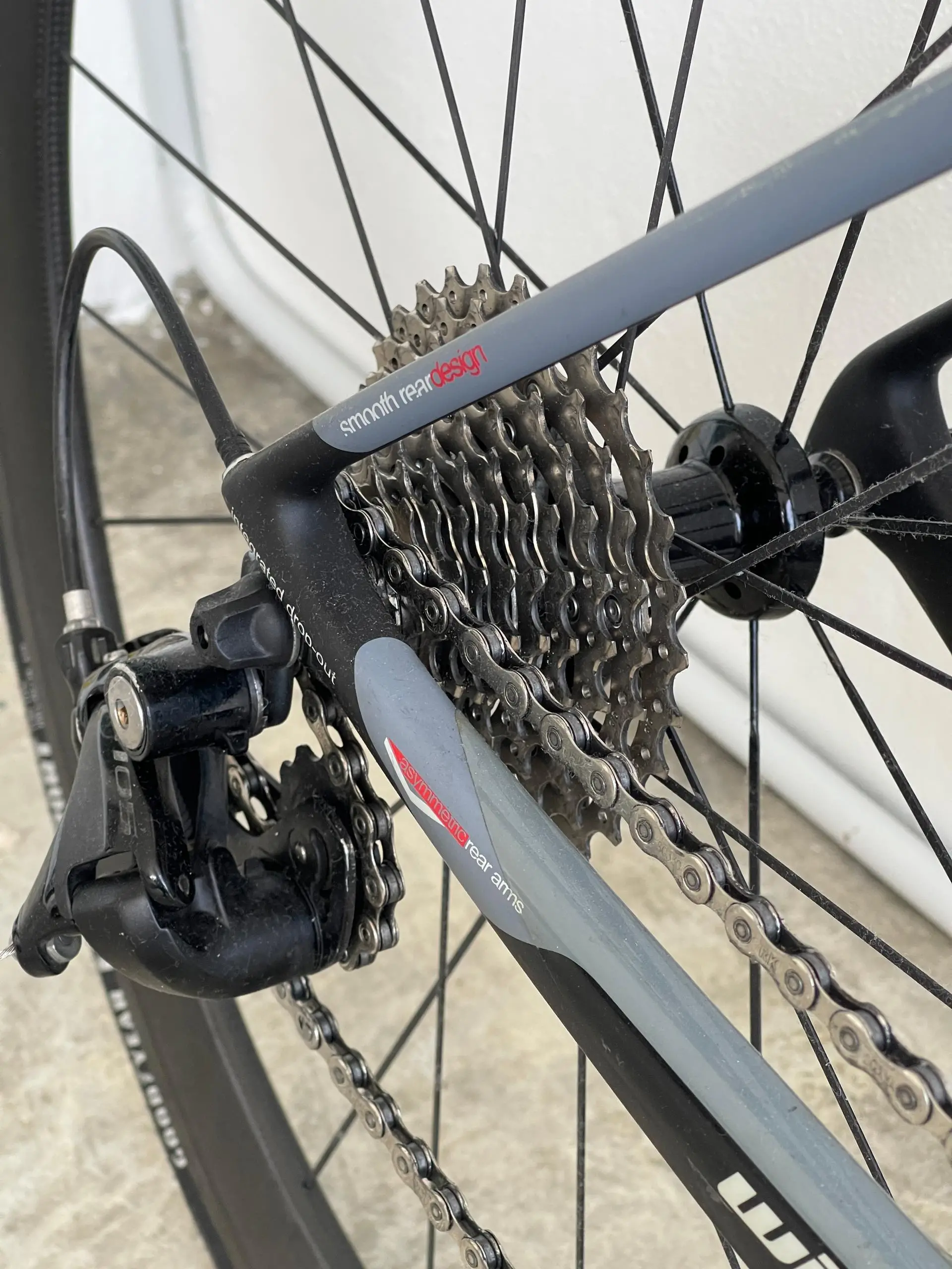 wilier triestina gtr team