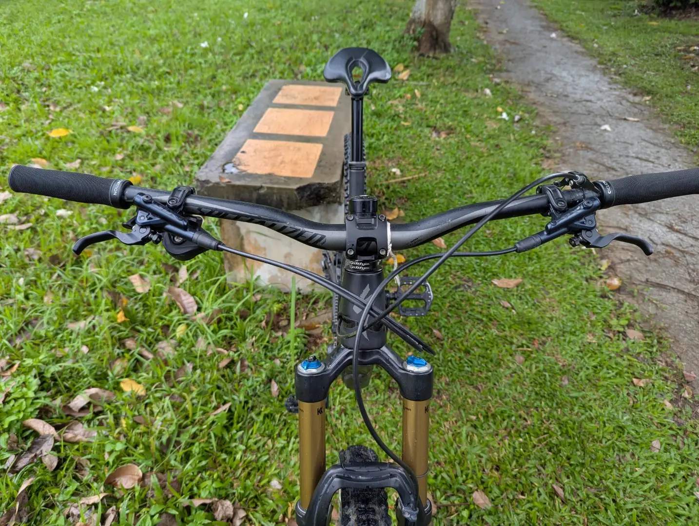 Specialized Enduro Elite 2019 29er (custom build)
