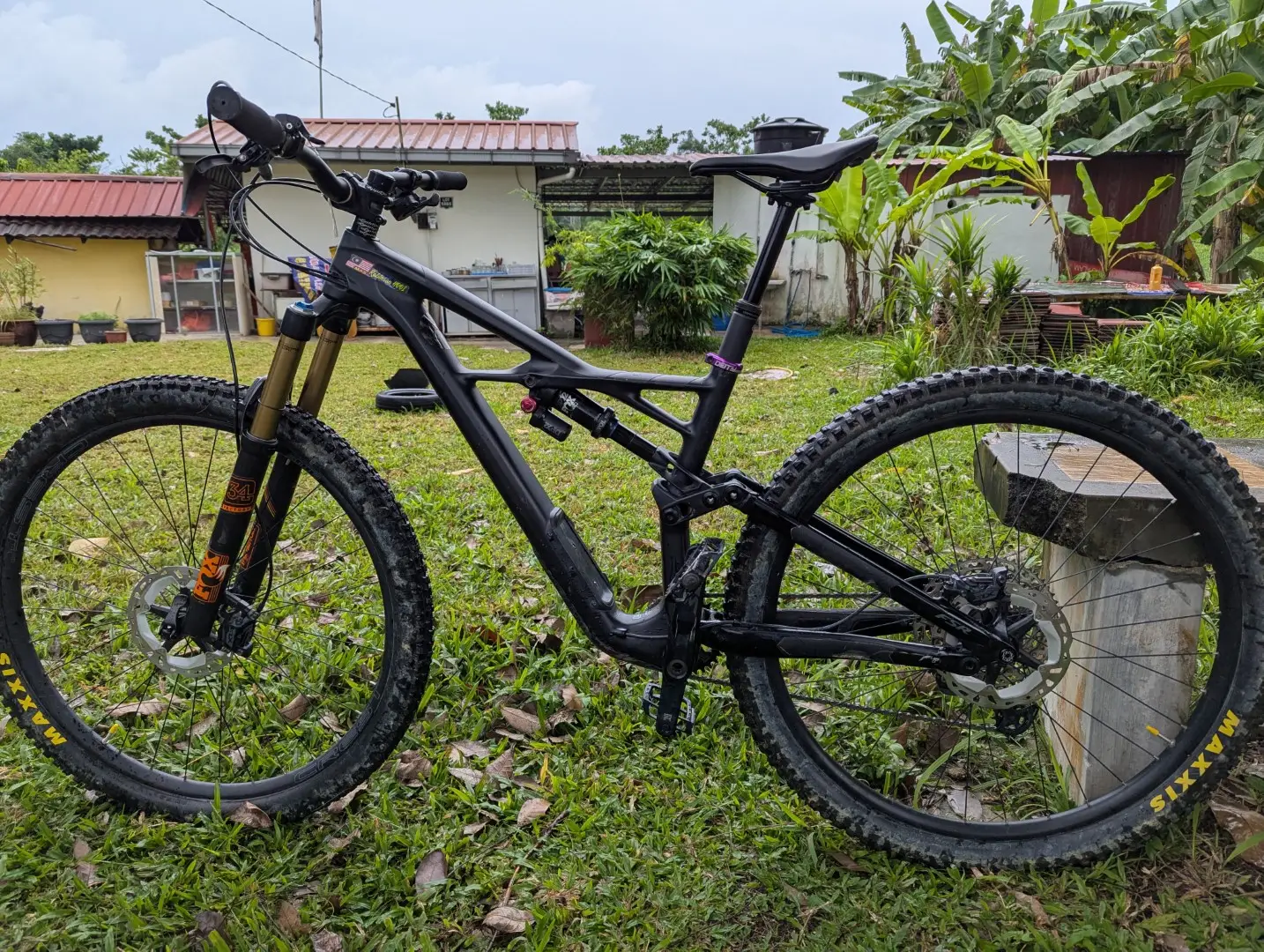 Specialized Enduro Elite 2019 29er (custom build)