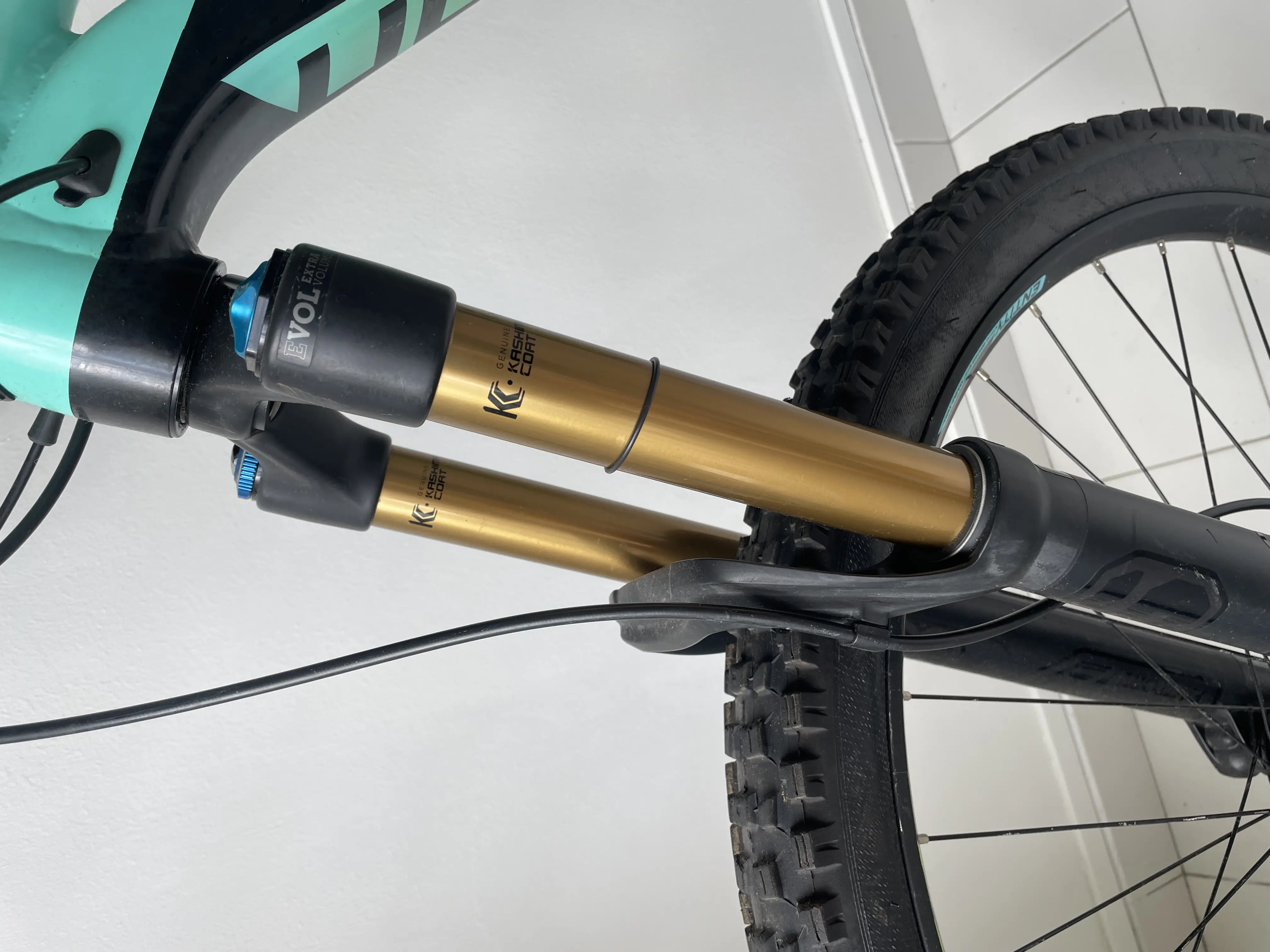 Polygon T7, M , 27.5