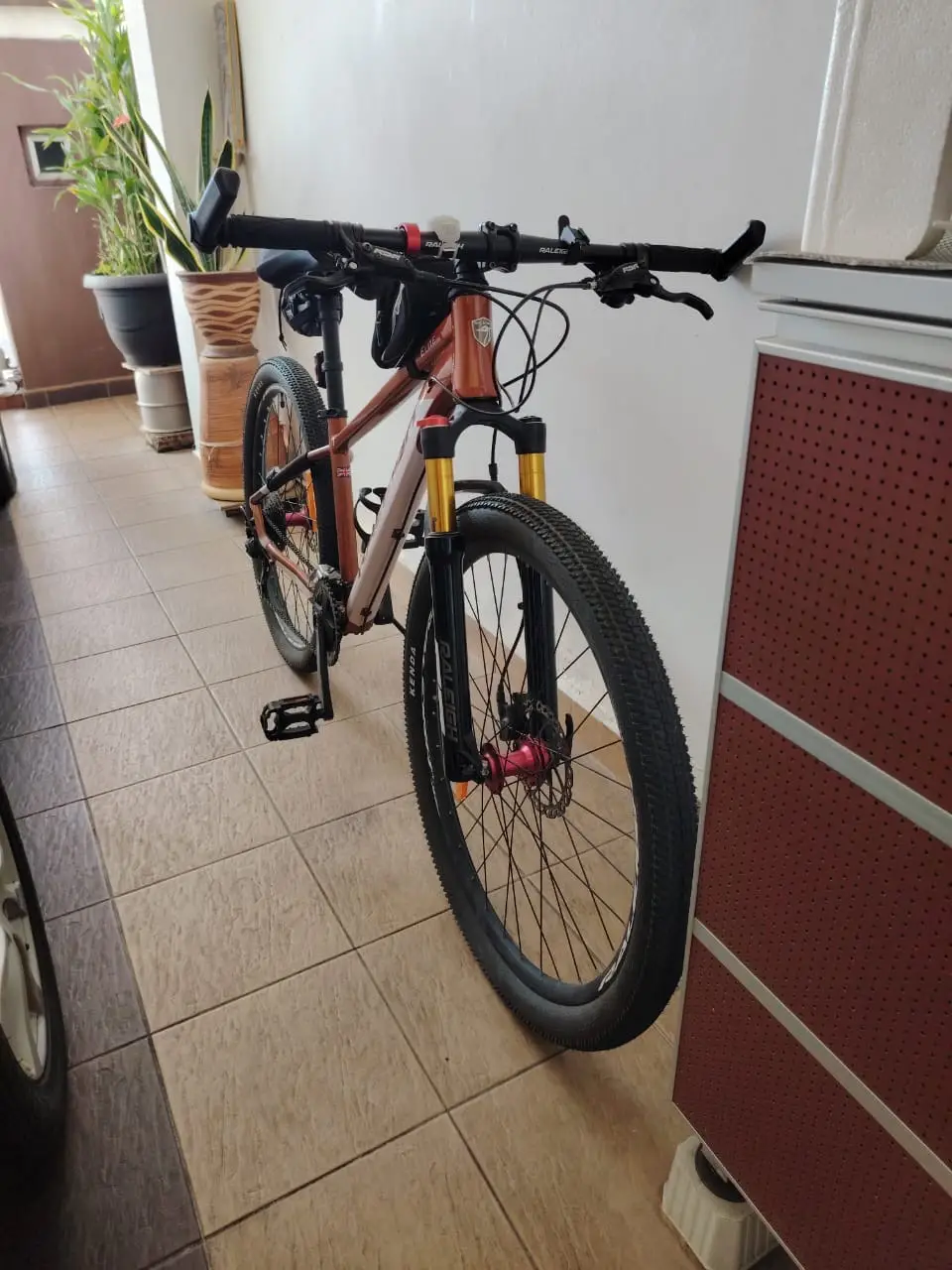 RALEIGH ELITE 29" ORANGE