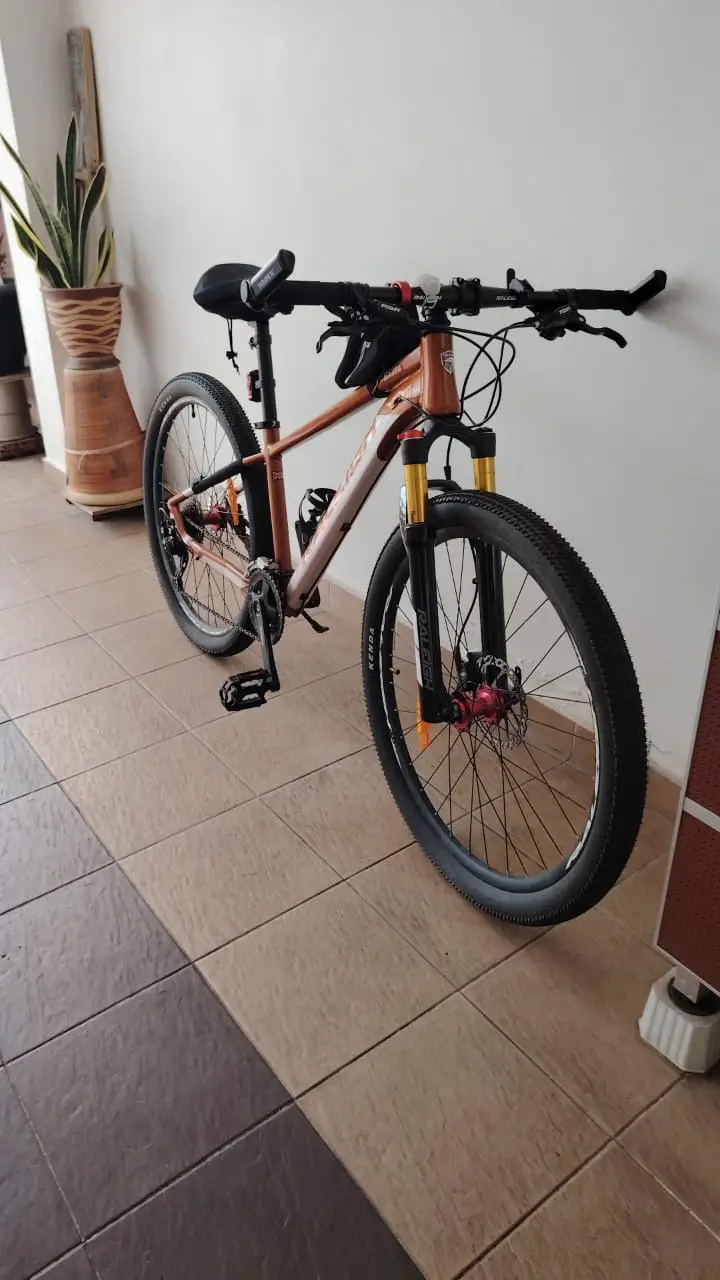 RALEIGH ELITE 29" ORANGE