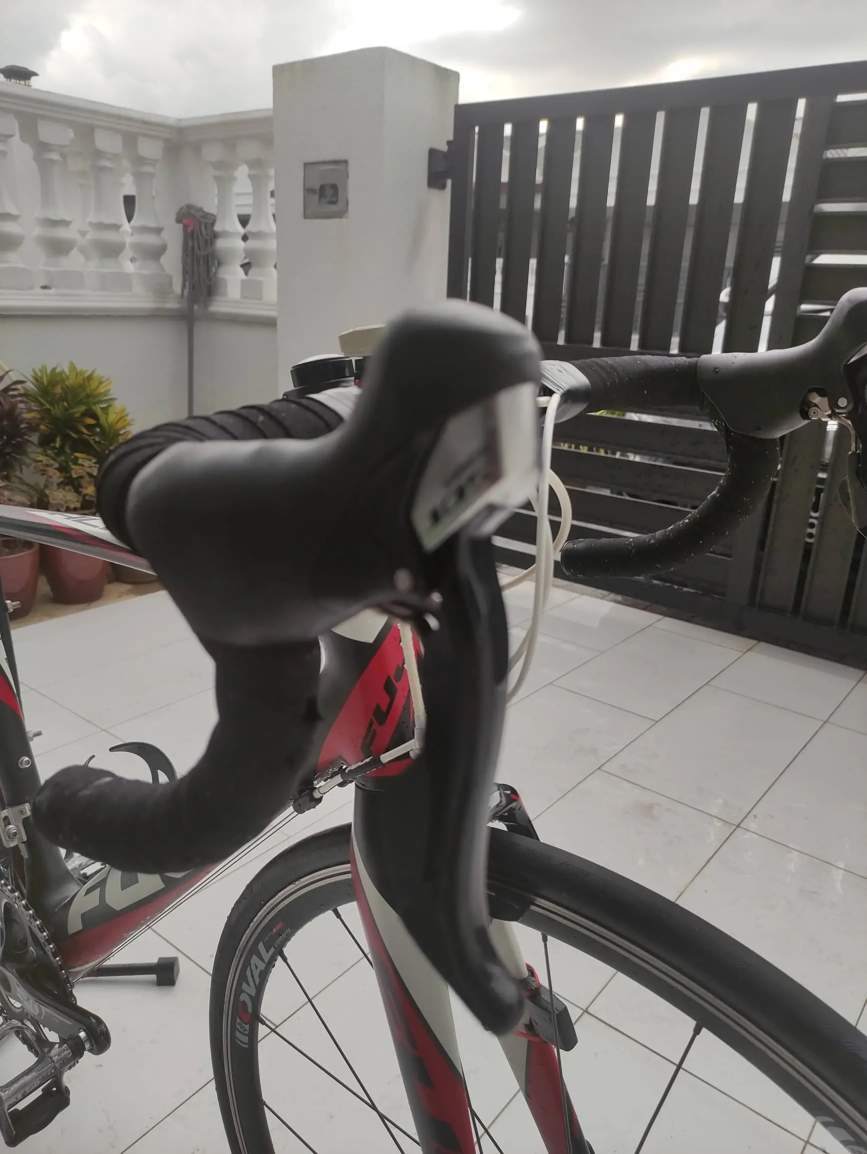 Fuji Altamira Carbon 3.0