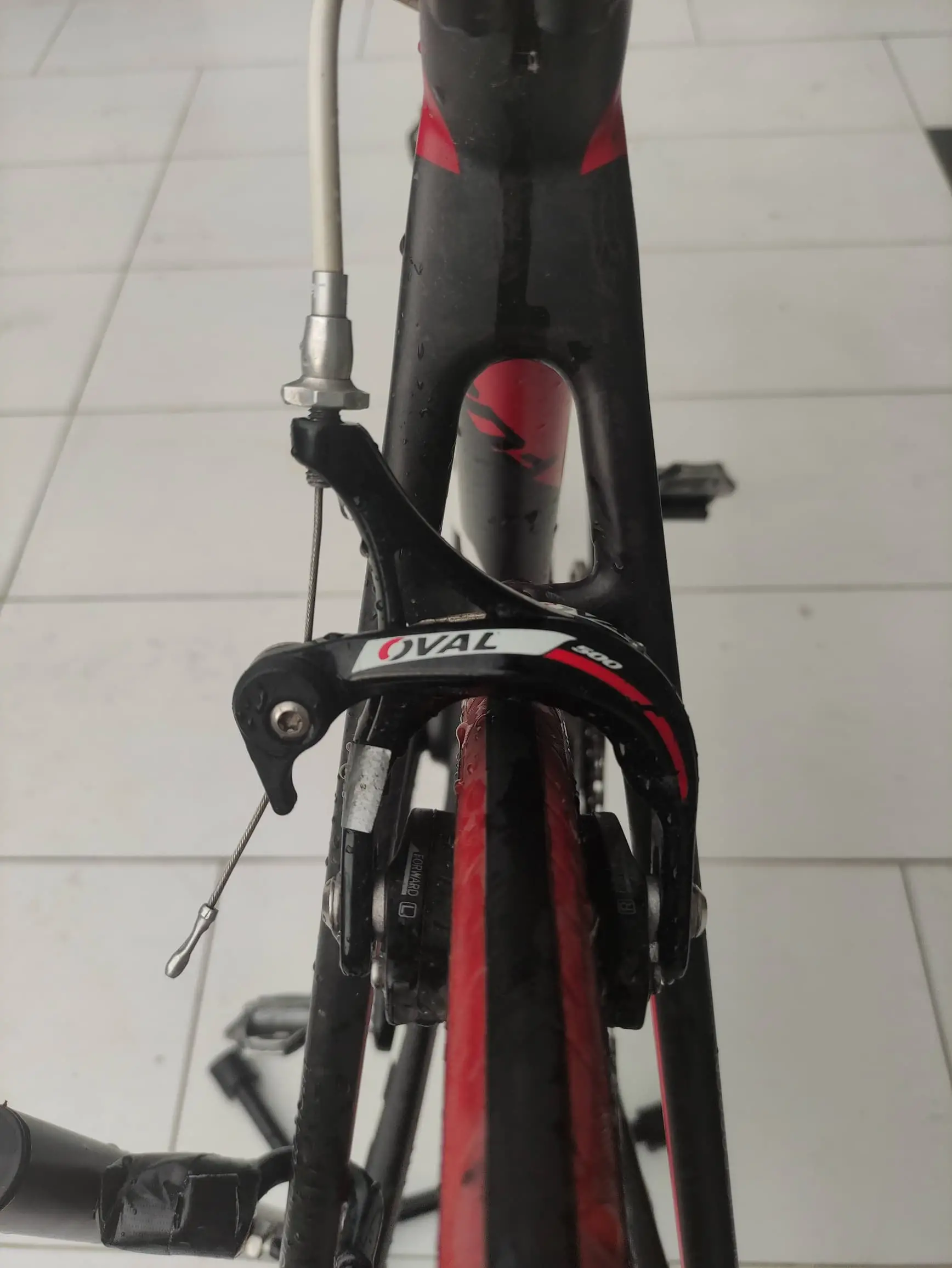 Fuji Altamira Carbon 3.0