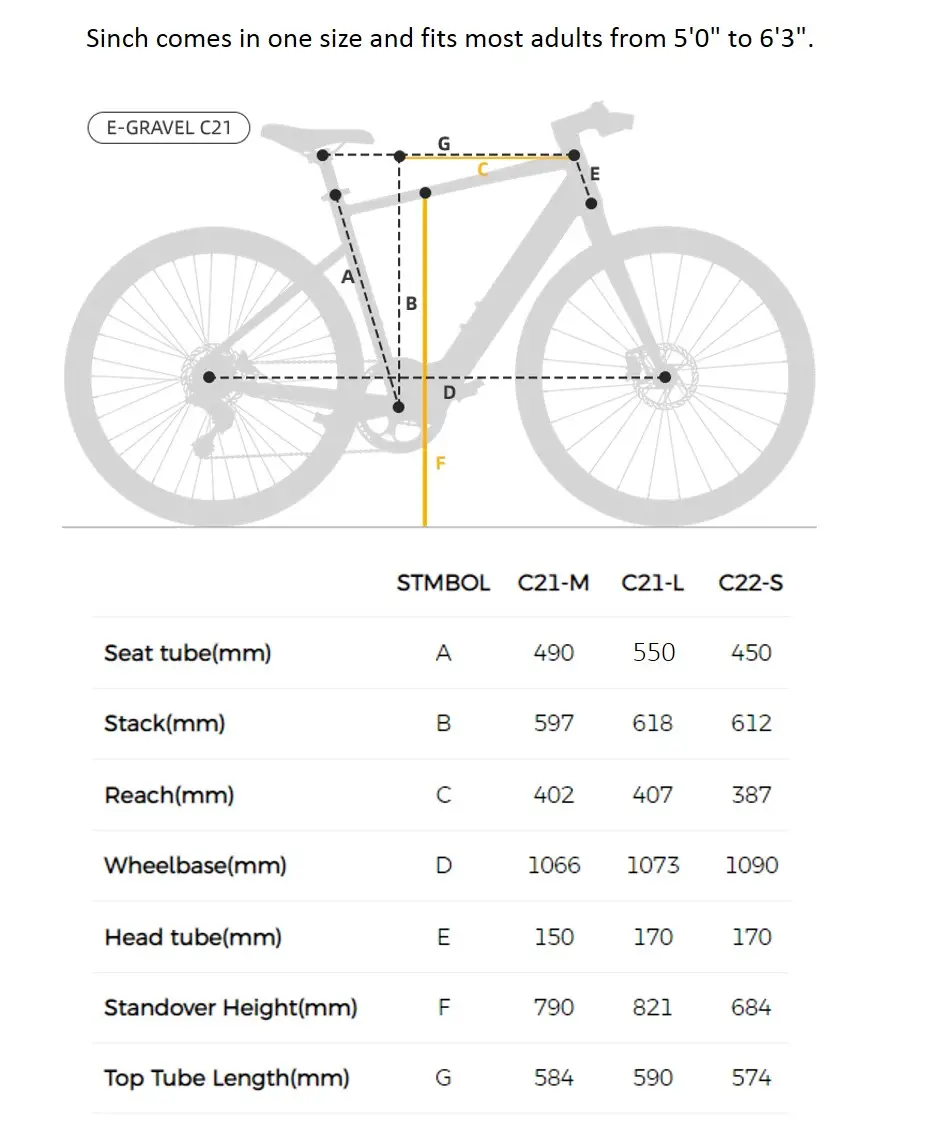 FIIDO C21 GRAVEL & CITY  E- BIKE (GREY M)