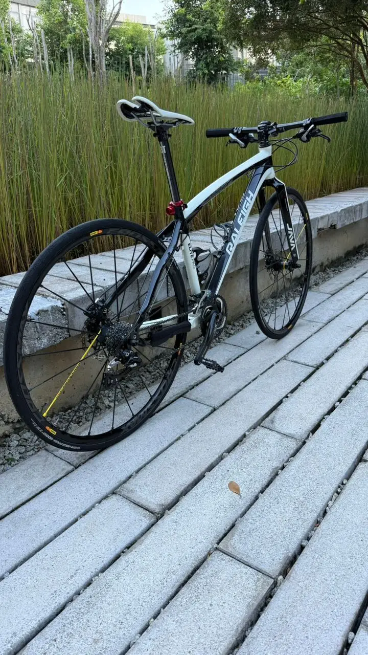Custom-Built Hybrid – Lightweight & Versatile