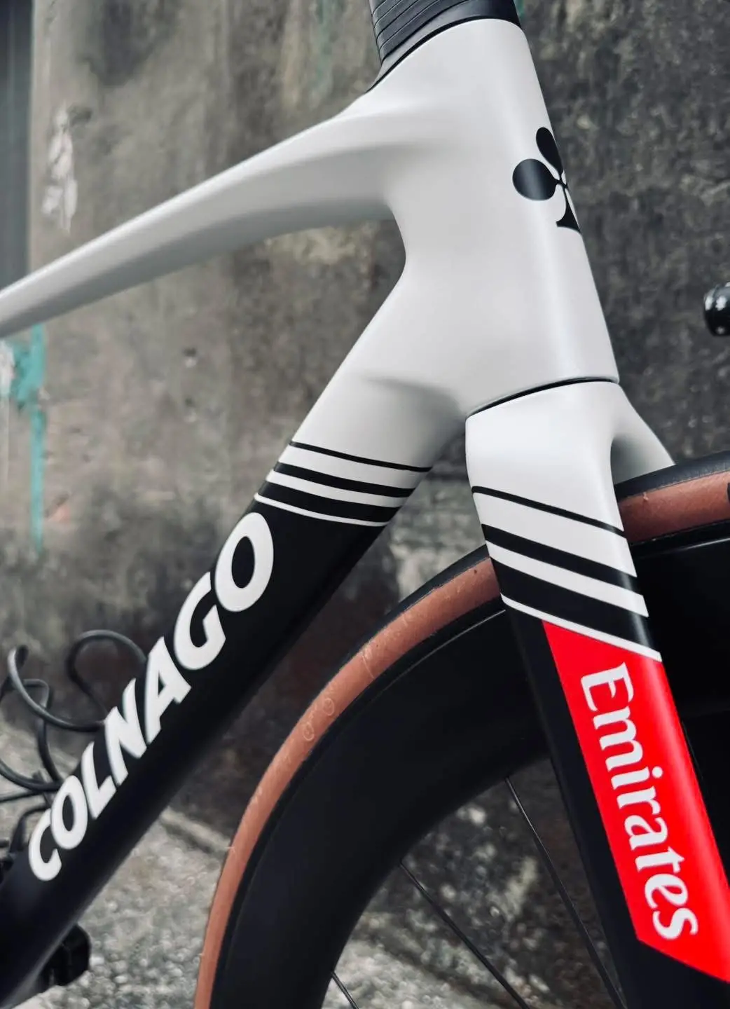 2025 Colnago V5Rs UAE Frameset