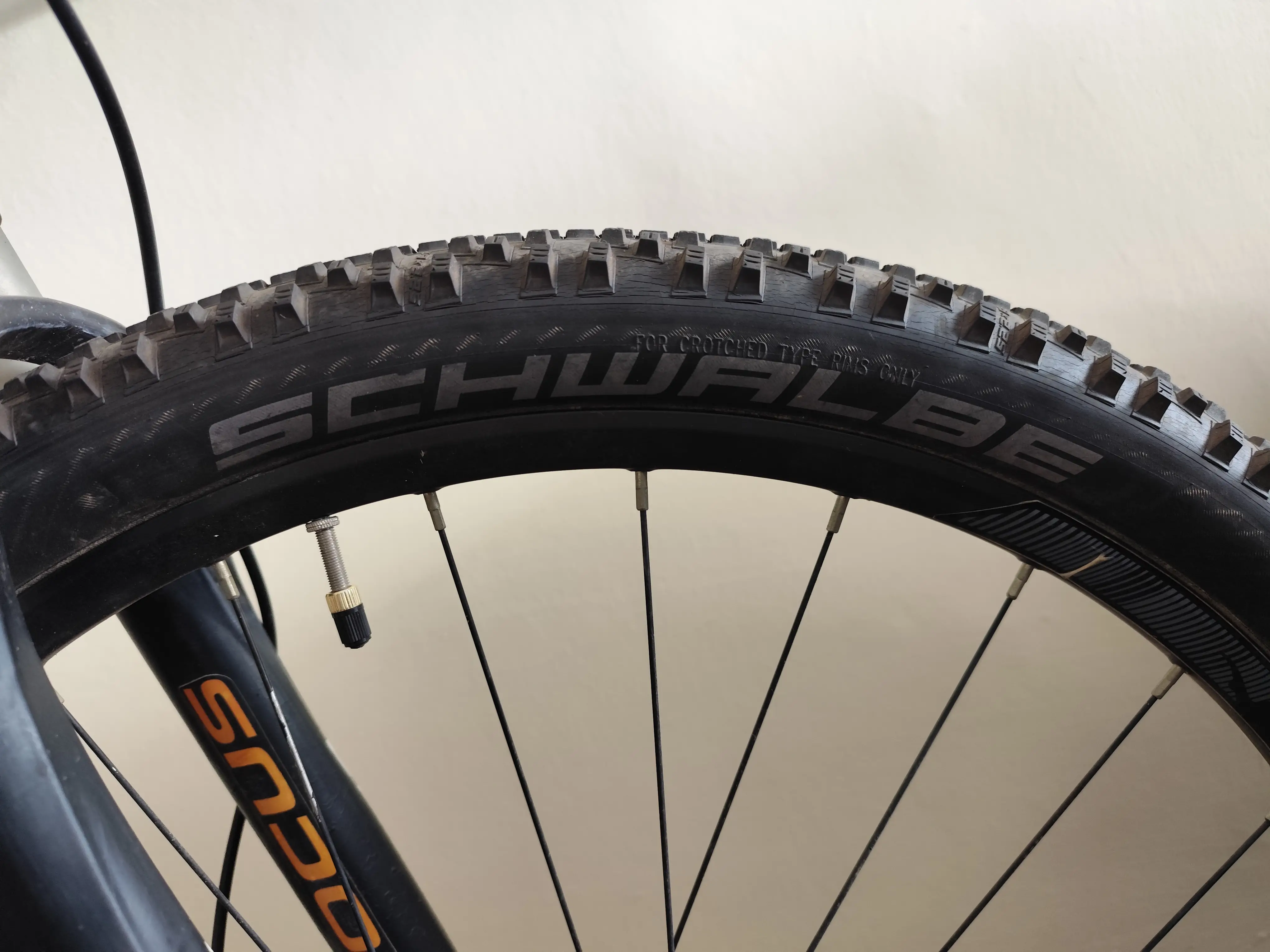 Focus Black Forest 29er MTB
