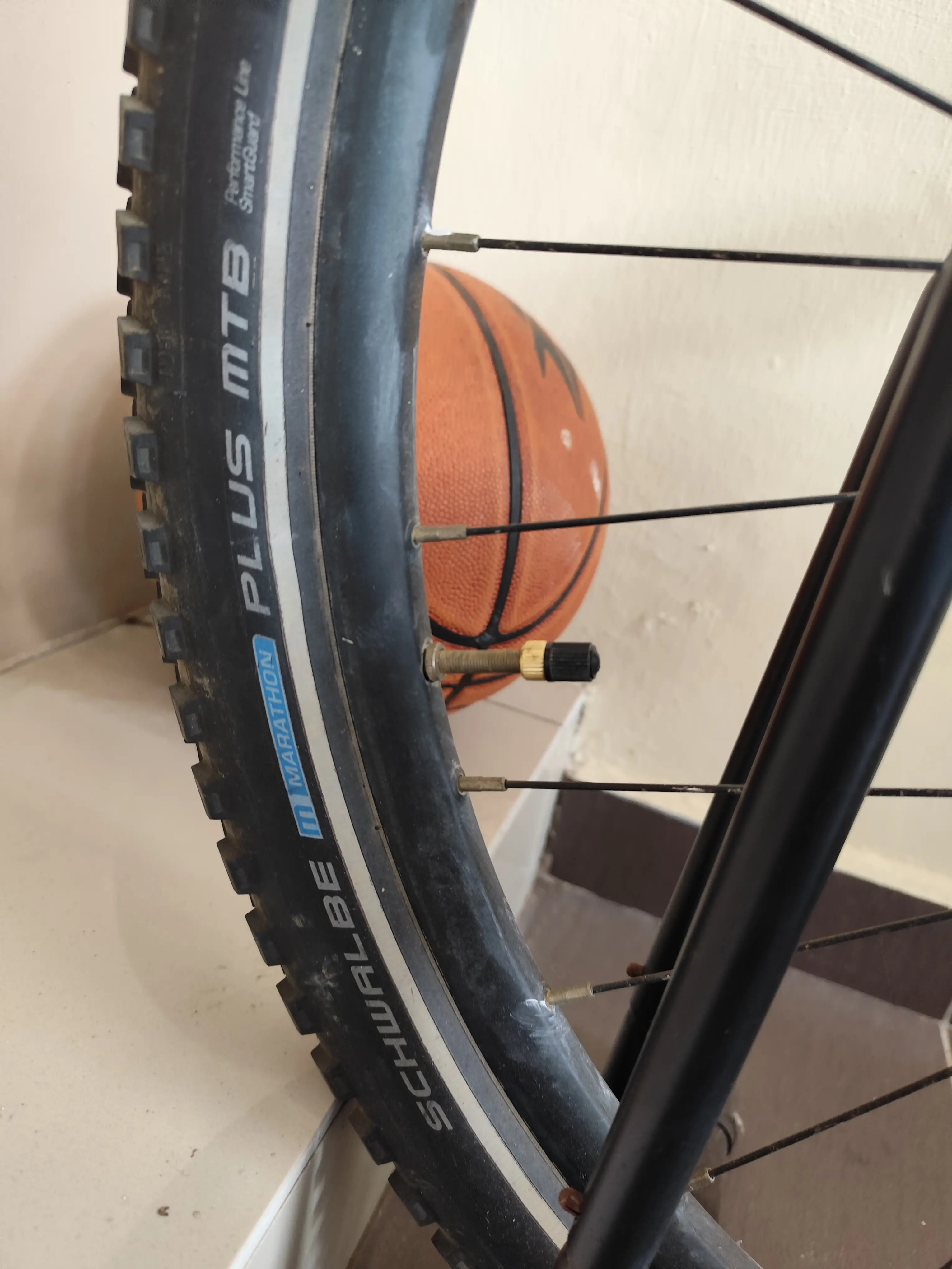 Focus Black Forest 29er MTB